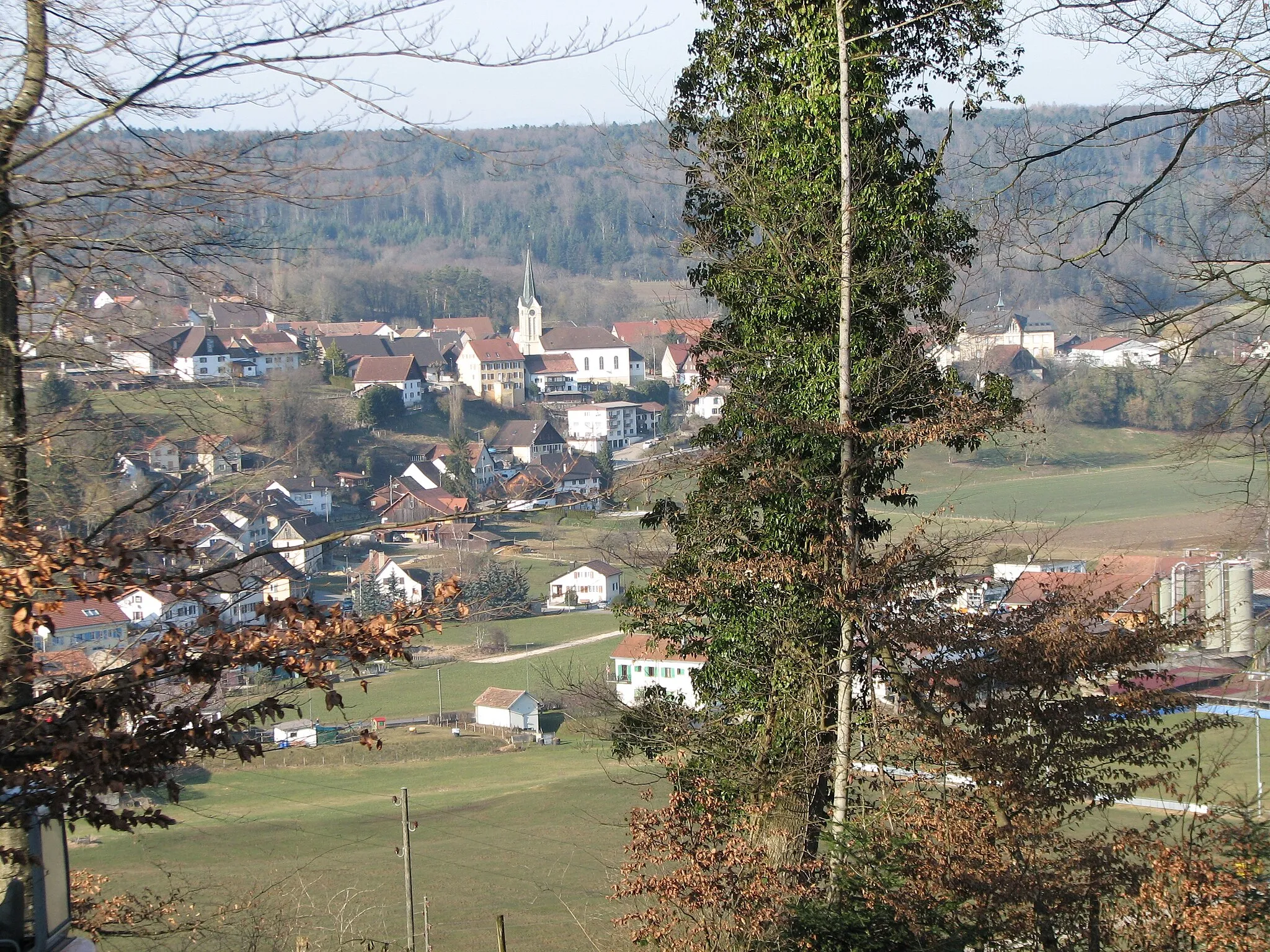 Photo showing: Courtedoux vue générale