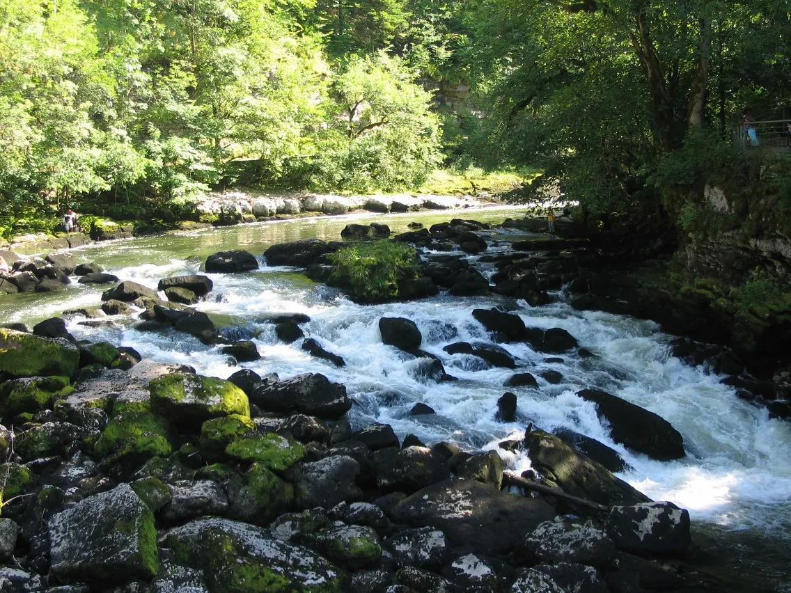 Photo showing: Lit rocheux du Doubs en amont du saut, quelques mètres avant la chute.