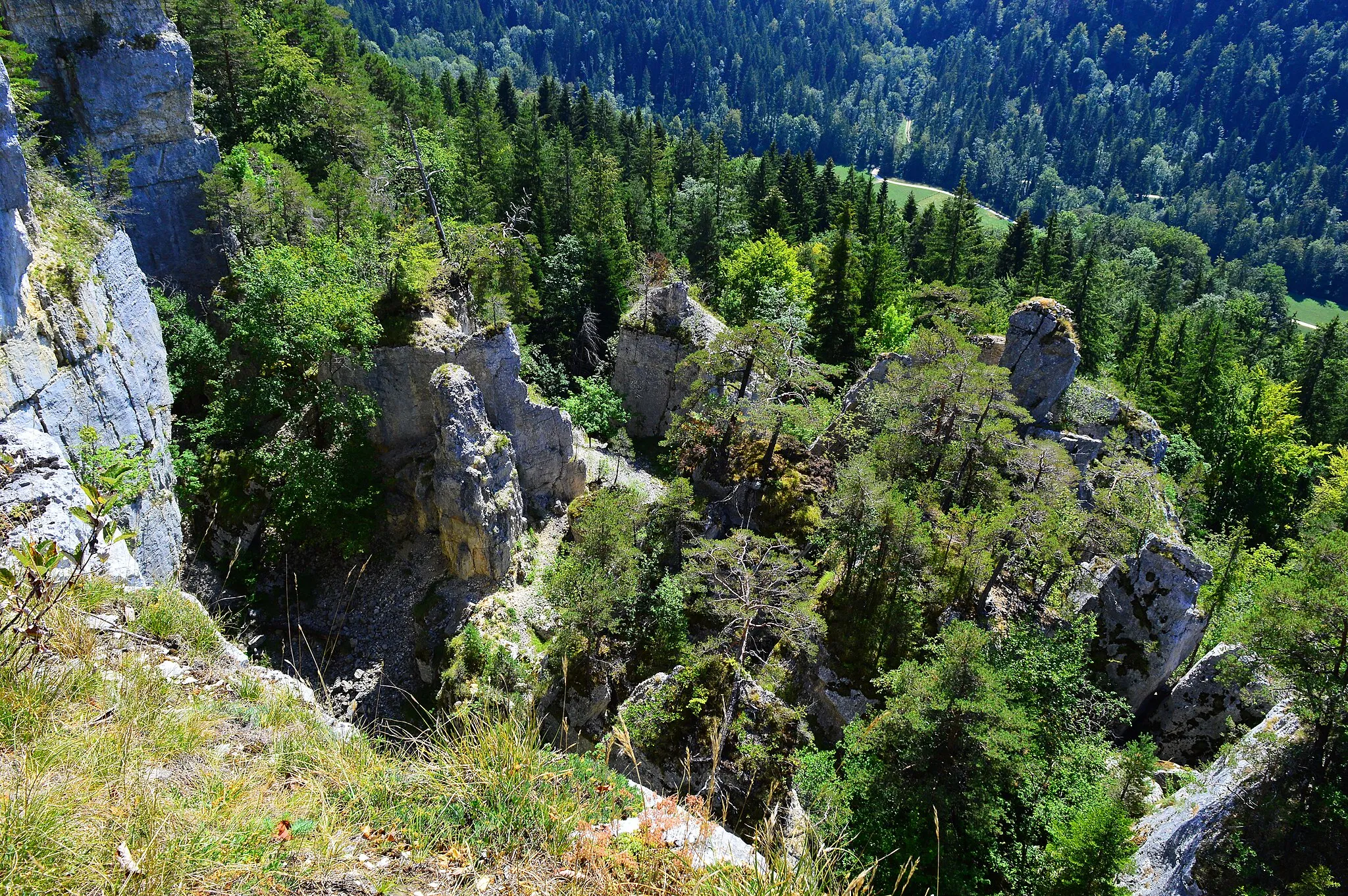 Photo showing: Franches-Montagnes im Kanton Jura in der Schweiz