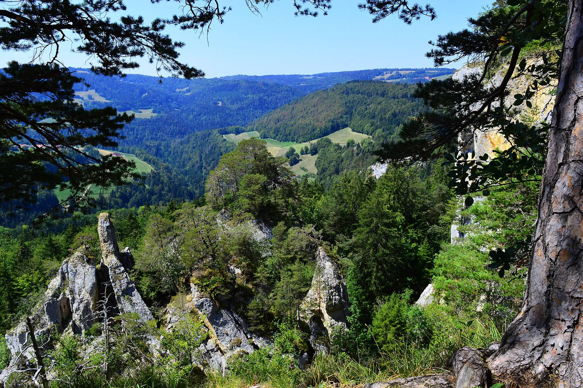 Photo showing: Franches-Montagnes im Kanton Jura in der Schweiz