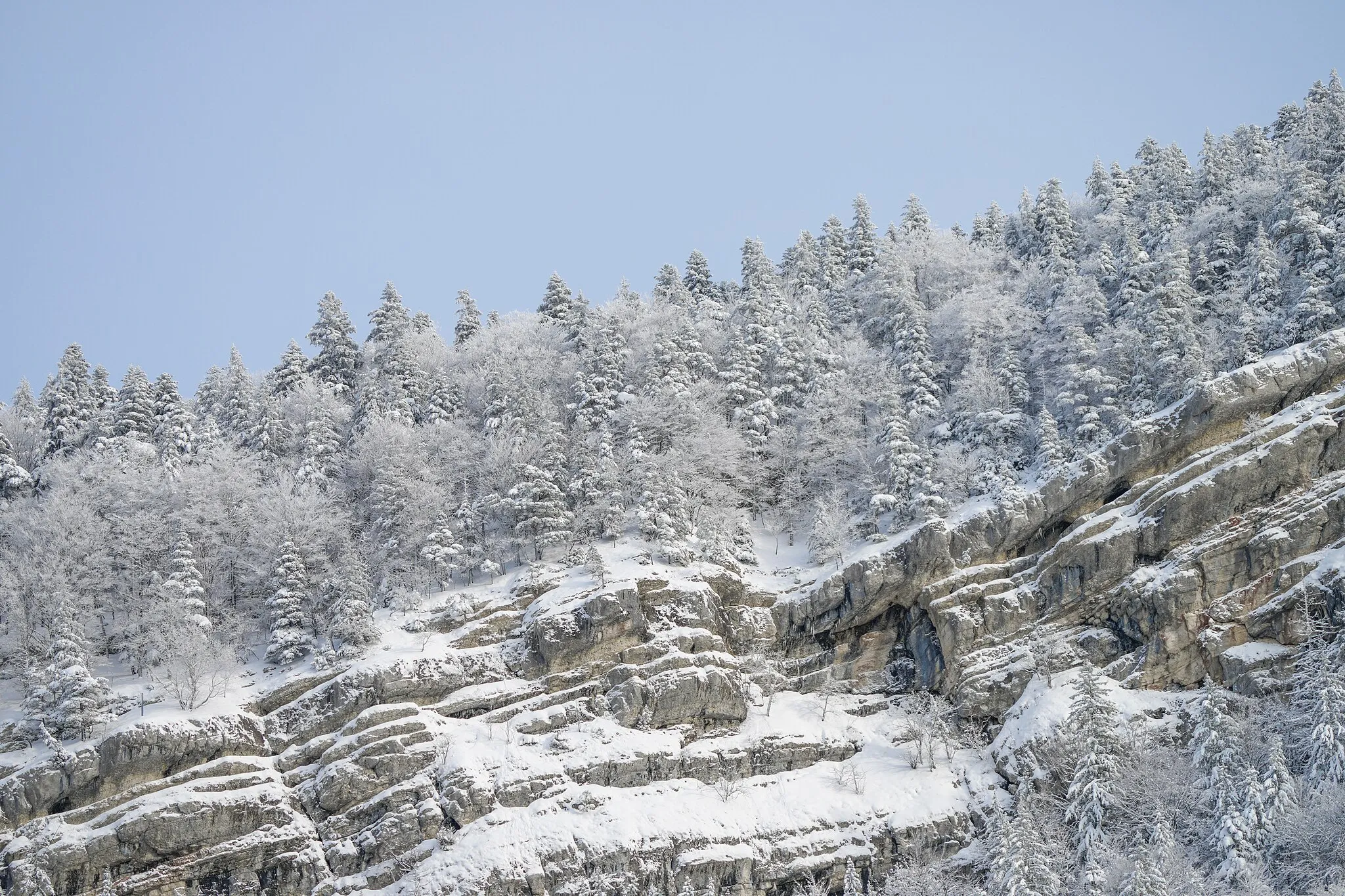 Photo showing: Snowy landscape of Noiraigue