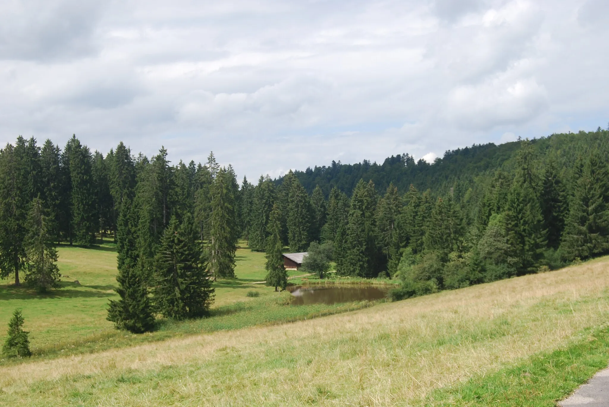 Photo showing: Pond in the Franches-Montagnes near Lajoux (Etang Sous le Crât), canton of Jura, Switzerland