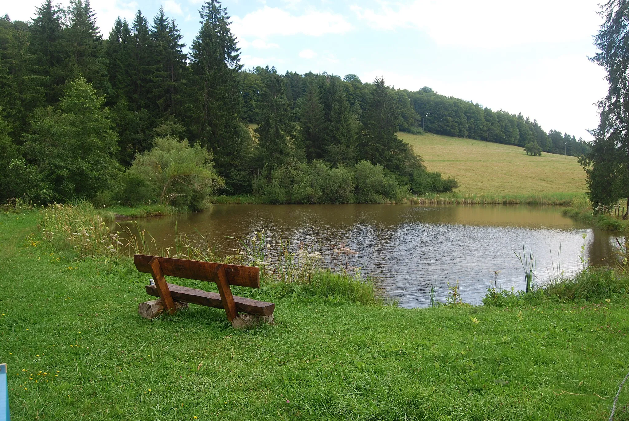 Photo showing: Etang Sous le Crât near Lajoux, canton of Jura, Switzerland