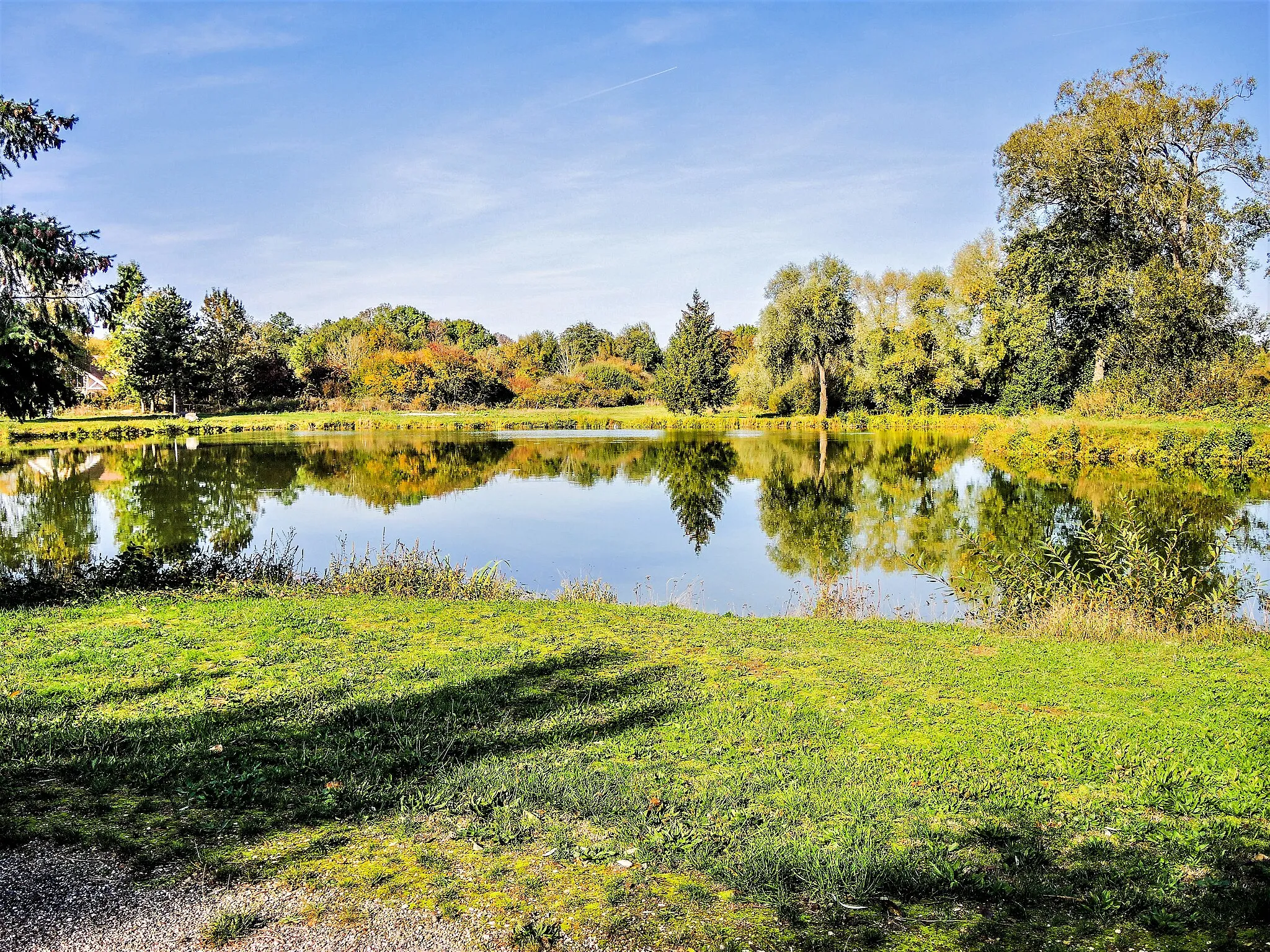 Photo showing: Etang du moulin à Châtenois-les-Forges