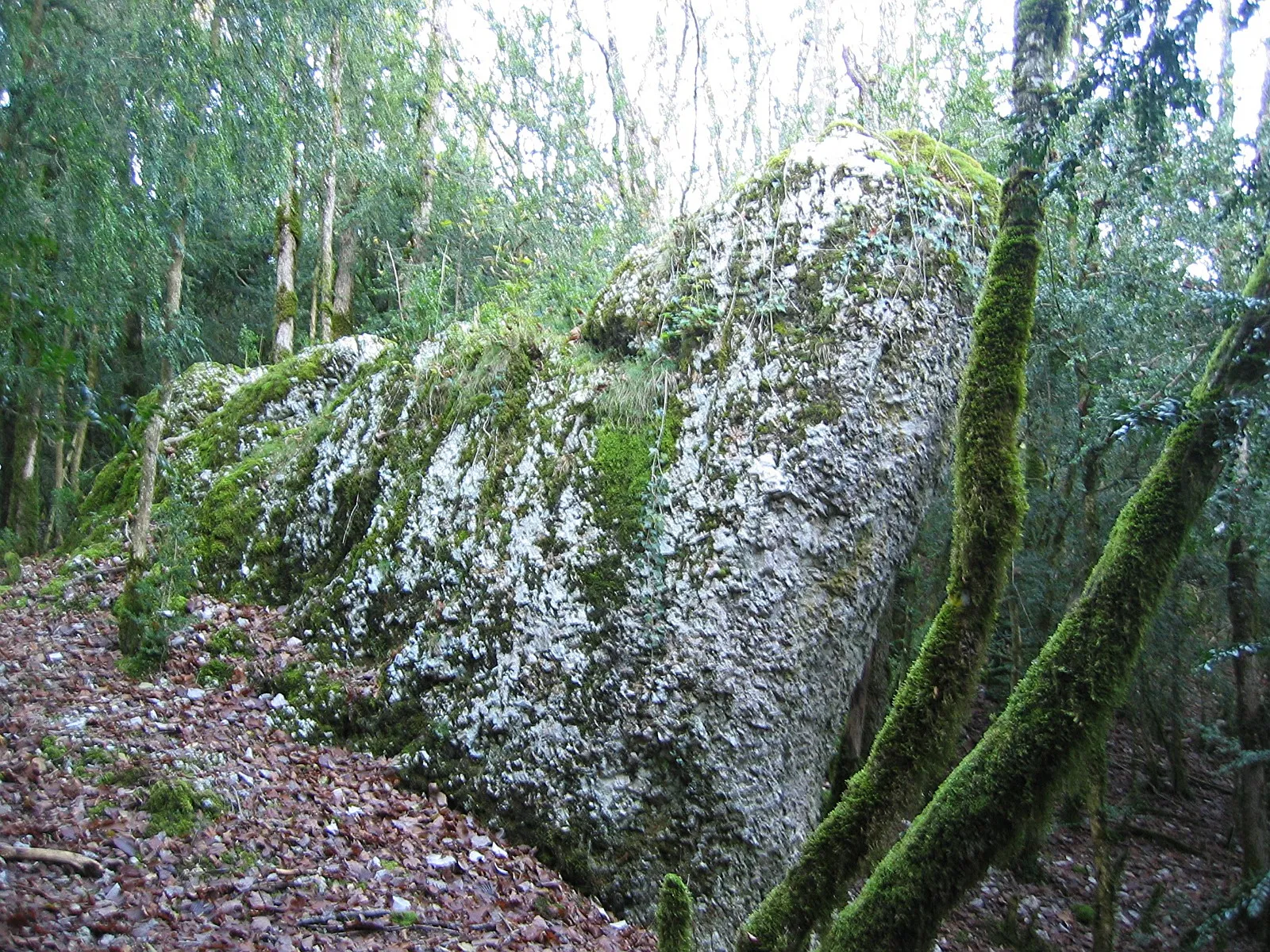 Photo showing: La pierre qui vire