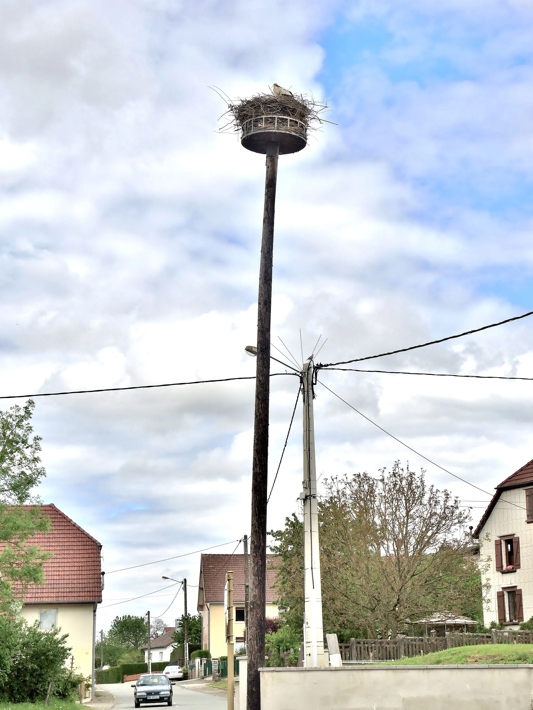 Photo showing: Le nid de cigognes, occupé chaque année, au centre du village de Charmois. Territoire de Belfort