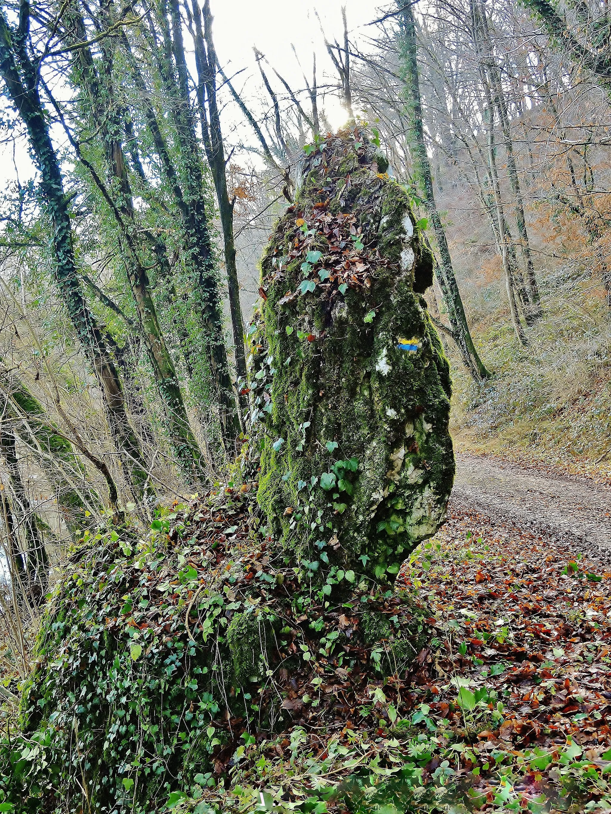 Photo showing: Bloc rocheux isolé nommé la pierre qui tourne. Hameau du Châtelot. Blussangeaux. Doubs