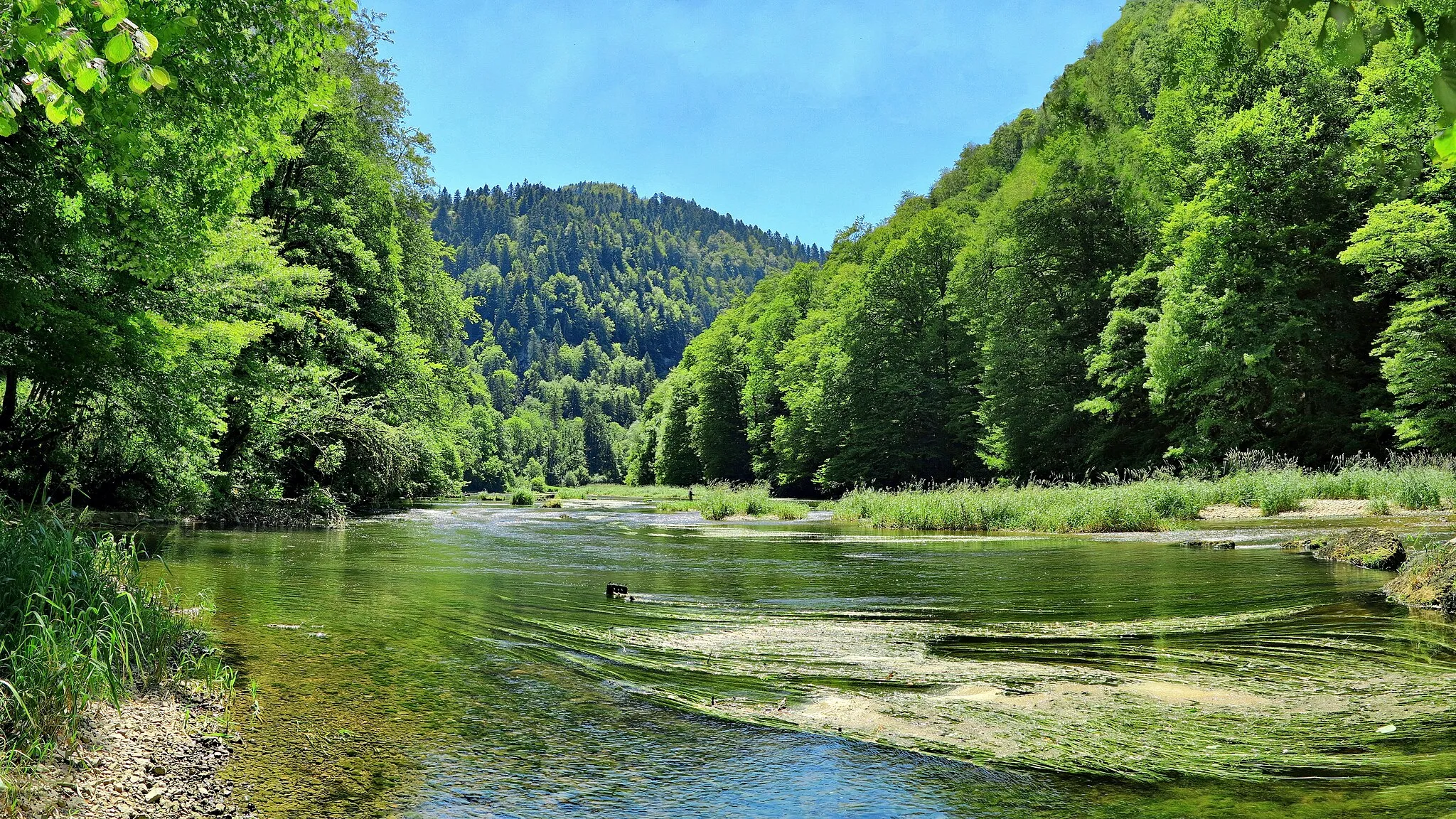 Photo showing: Le Doubs franco-suisse