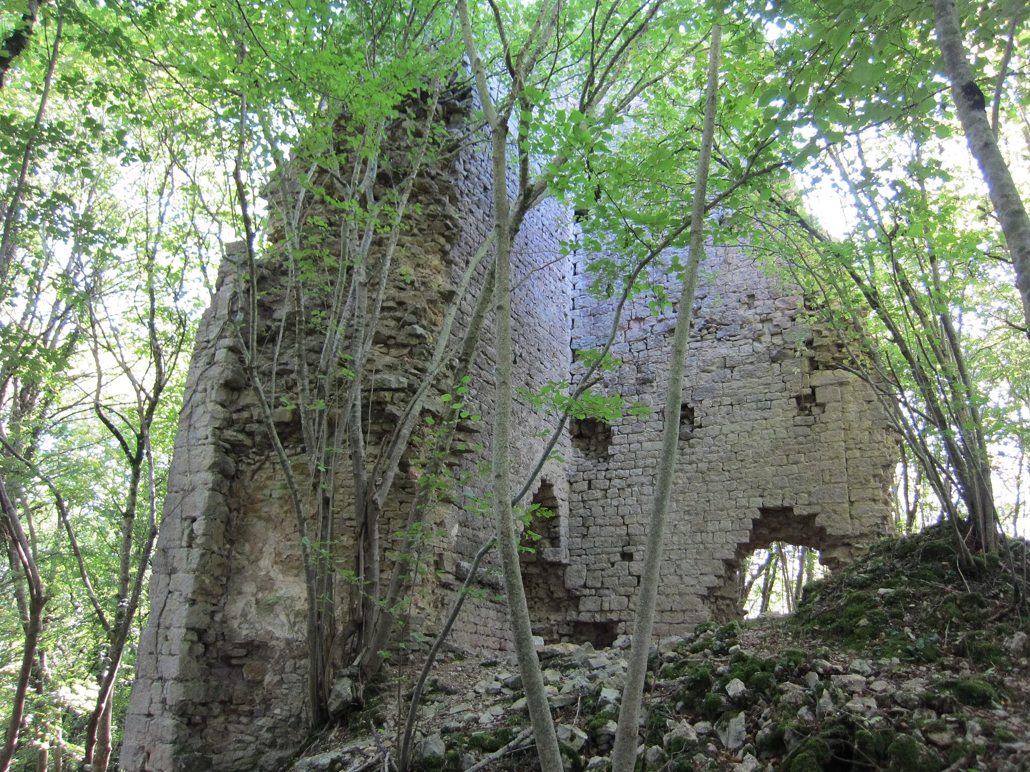 Photo showing: Château de Vaite near Champlive (Franche-Comté, France)