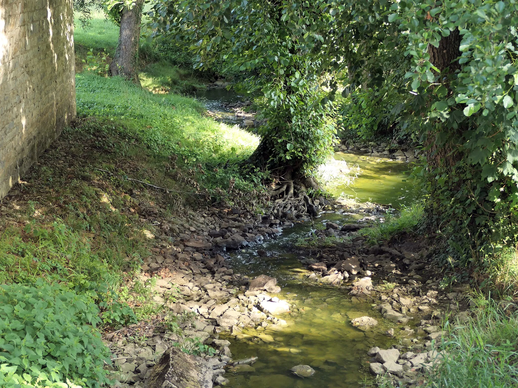 Photo showing: image montrant une photographie prise sur le territoire de la commune de Corcondray dans le département du Doubs : le ruisseau de Corcondray