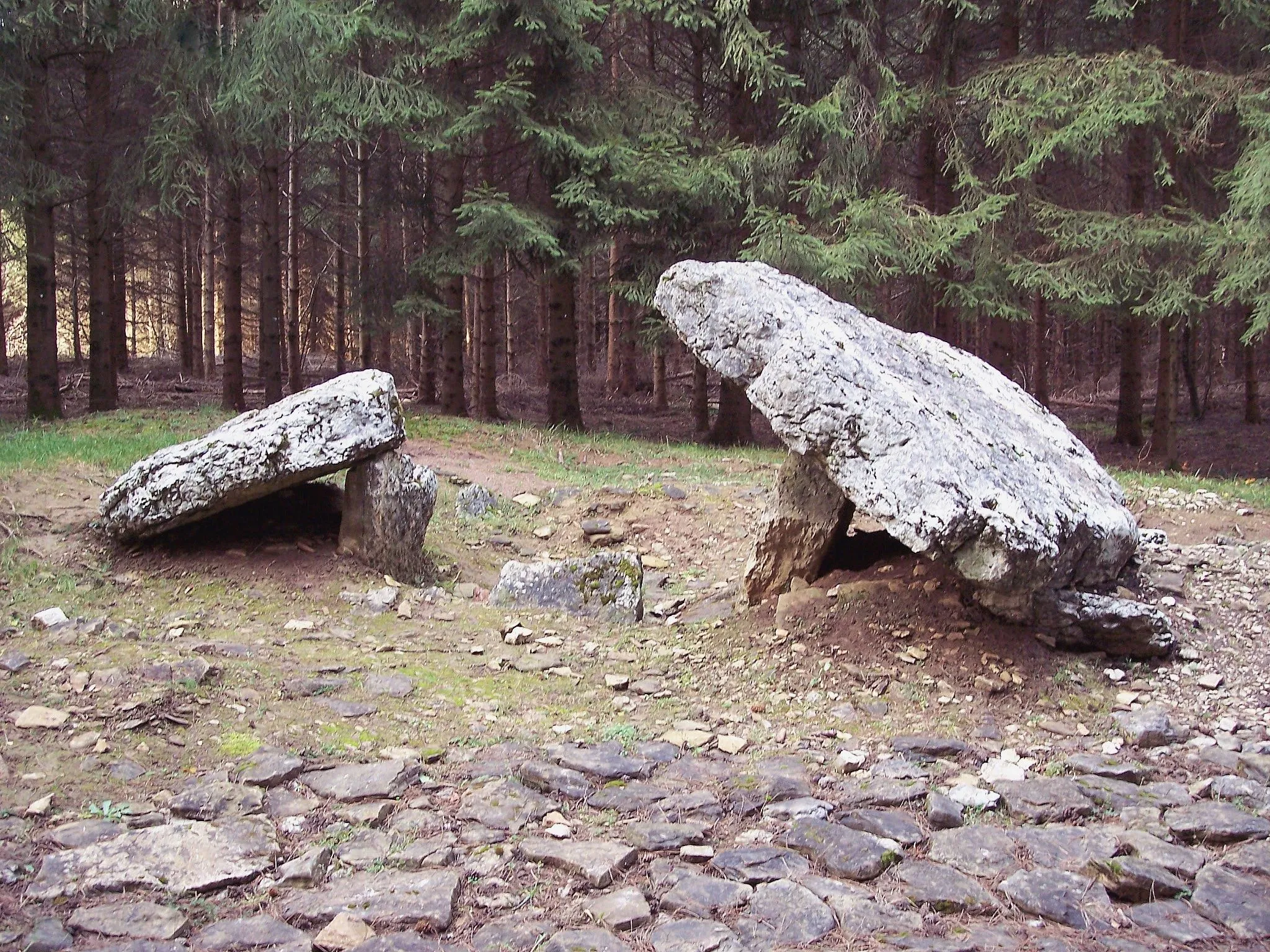 Photo showing: Dolmen de Santoche (2)