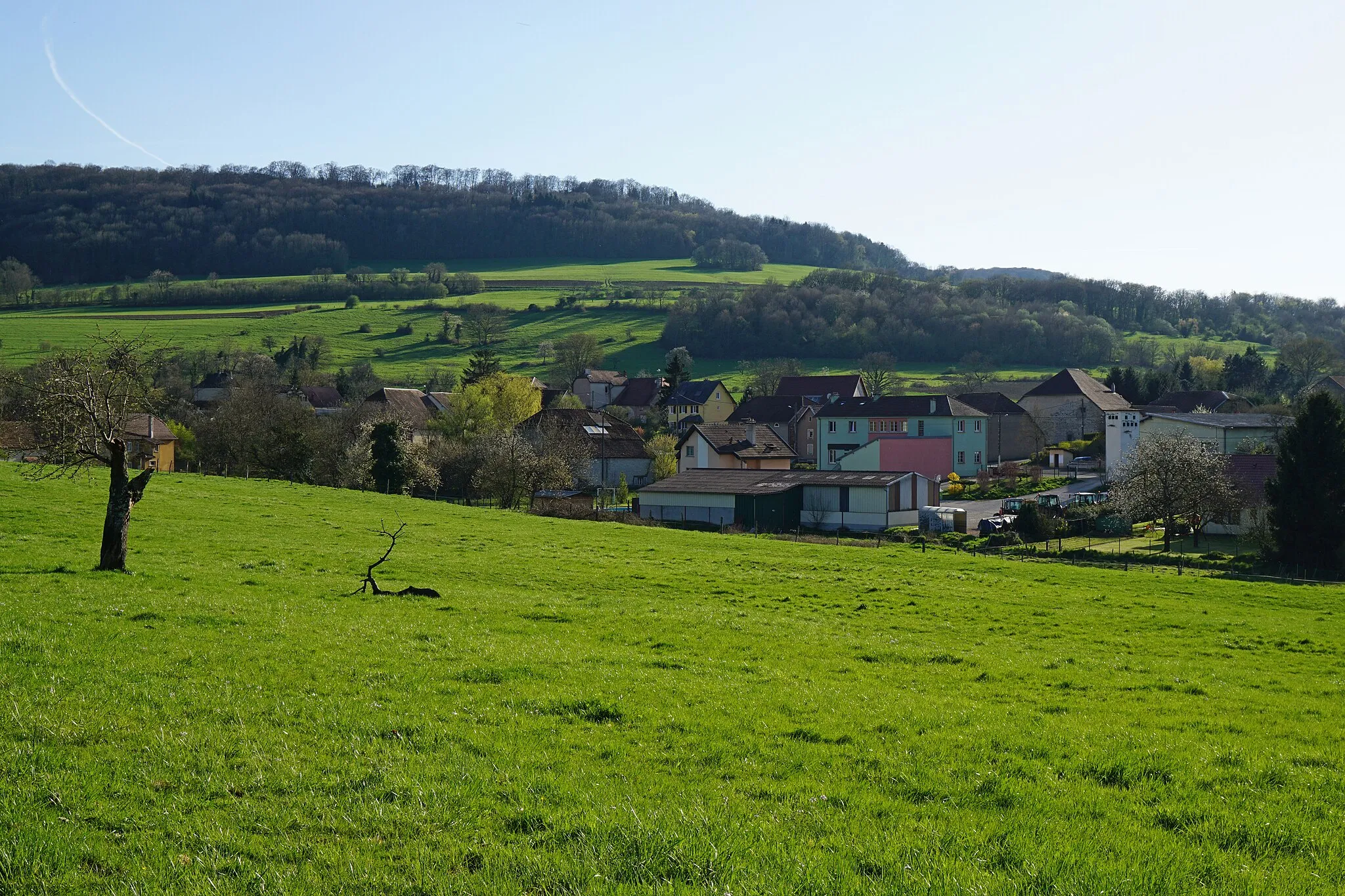 Photo showing: Vue générale de Gémonval.