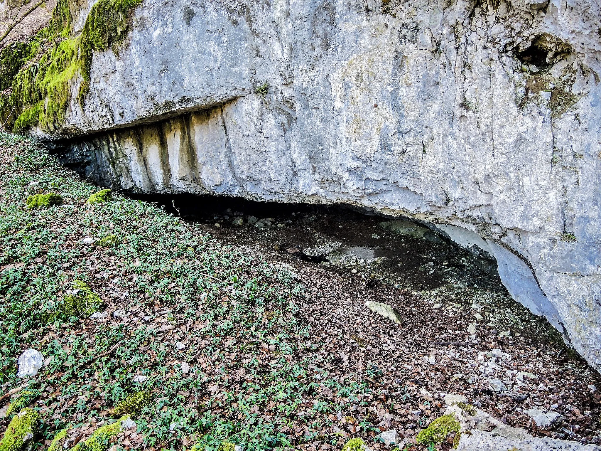 Photo showing: Entrée de la grotte inférieure de Vanne