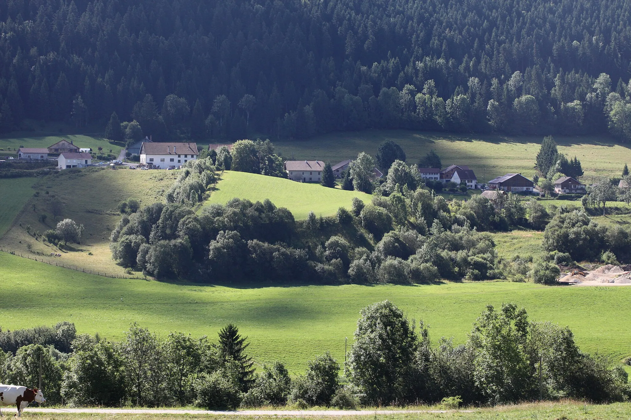 Photo showing: Hauterive vu de Montflovin.