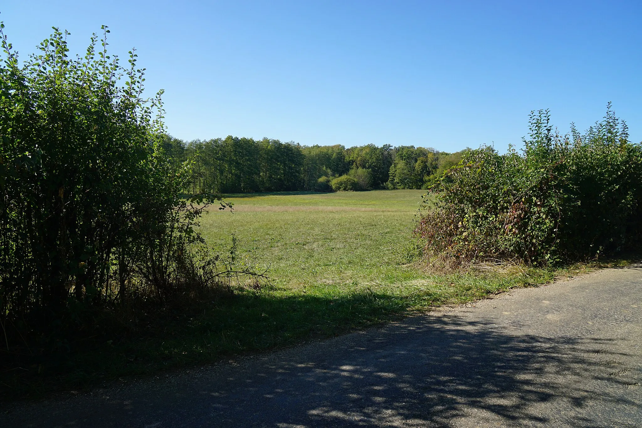 Photo showing: Terril du puits n° 1 (Le Vernoy).