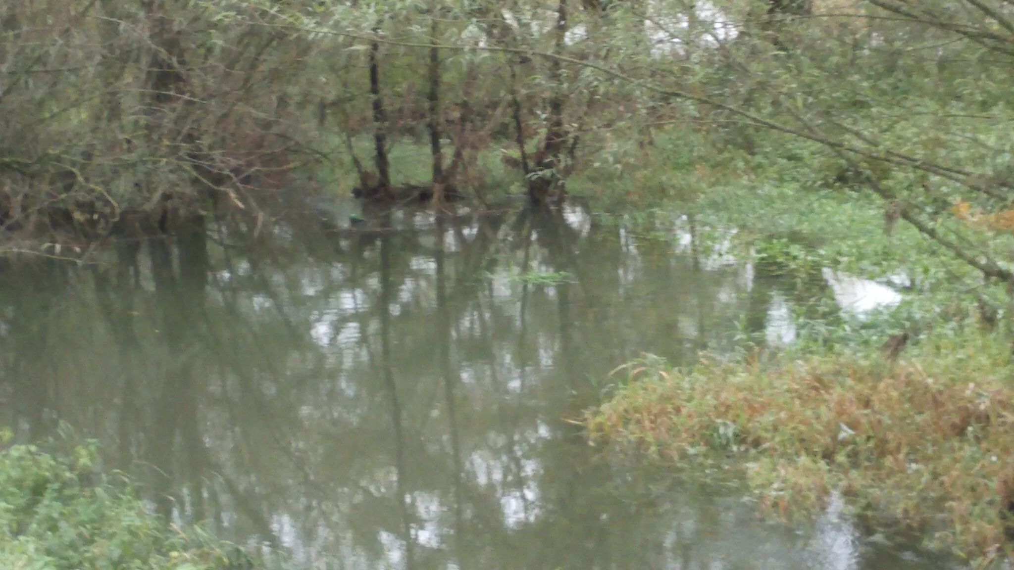 Photo showing: Doubs at Longevelle sur le Doubs