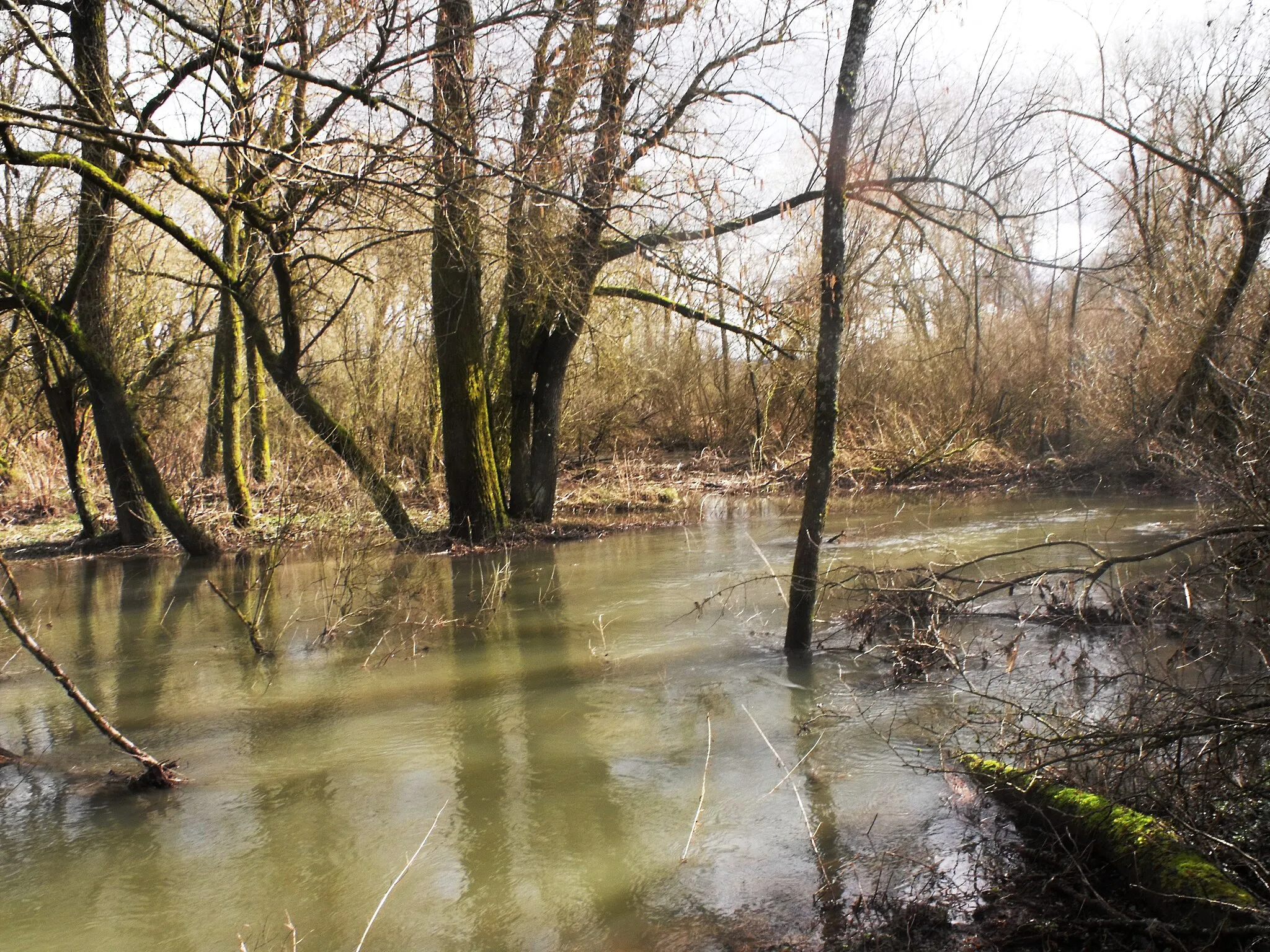 Photo showing: RNR basse vallée de la Savoureuse : Abords de la Savoureuse