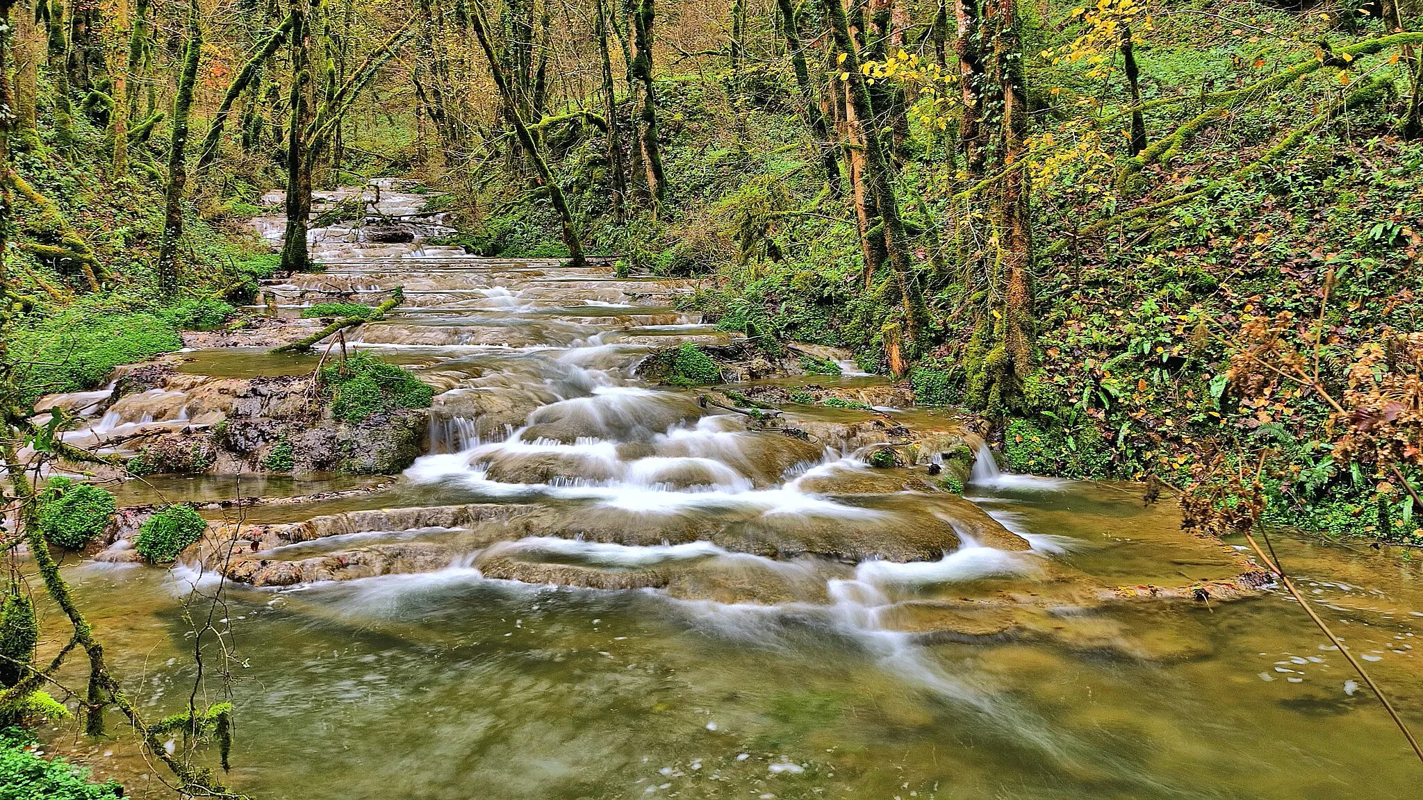 Photo showing: Gours sur le ruisseau de Waroly