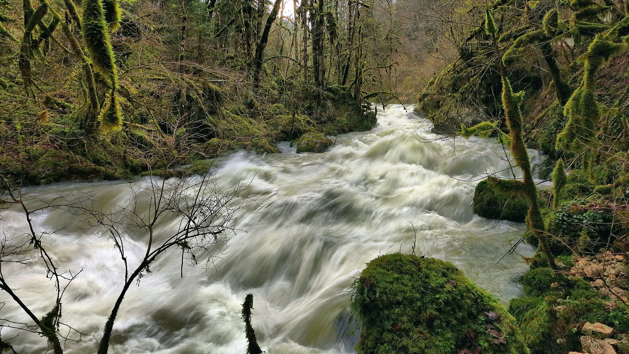 Photo showing: Rapides sur la Reverotte dans le Défilé des Epais Rochers