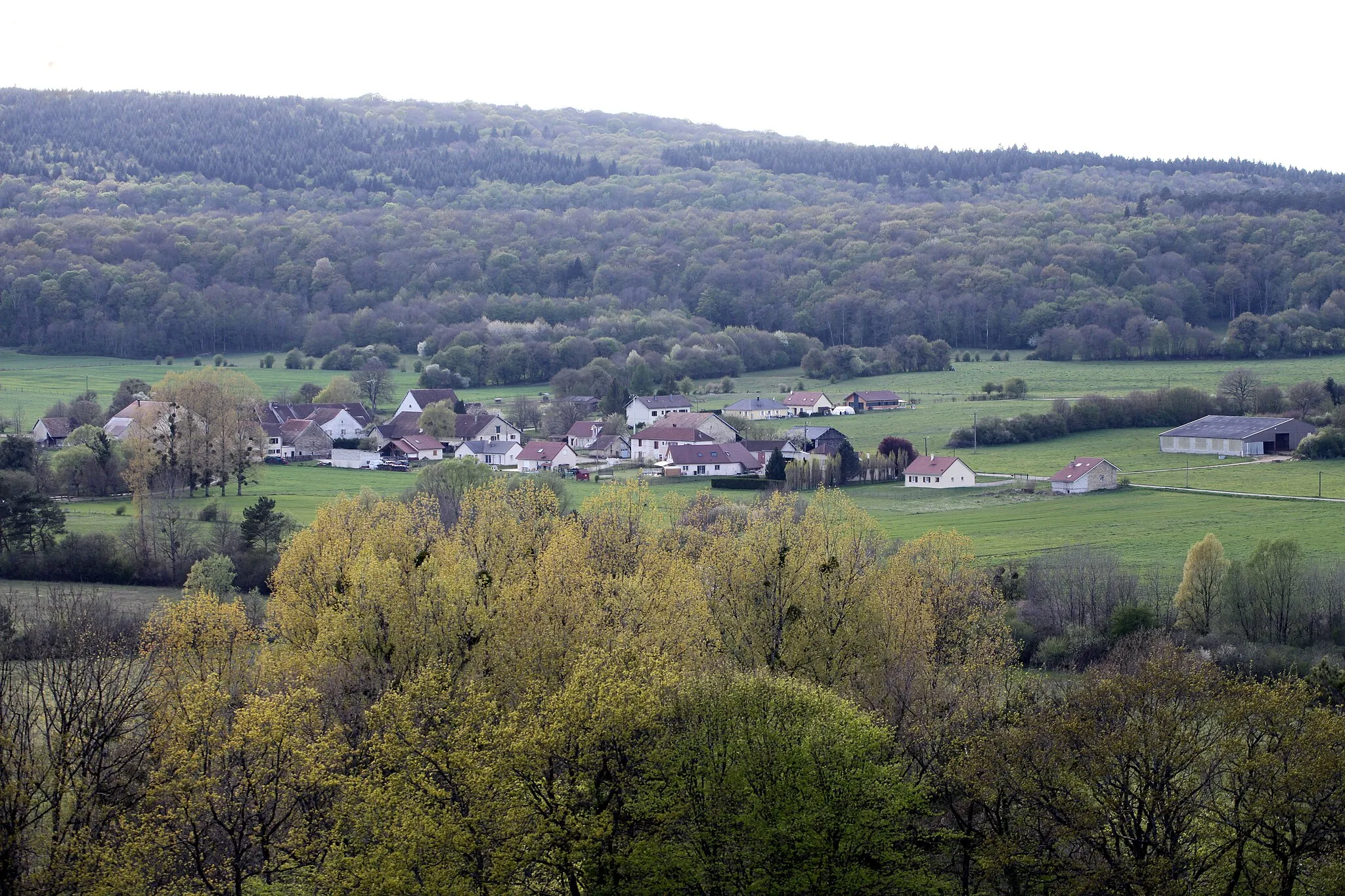 Photo showing: Vue de Palantine (Doubs).