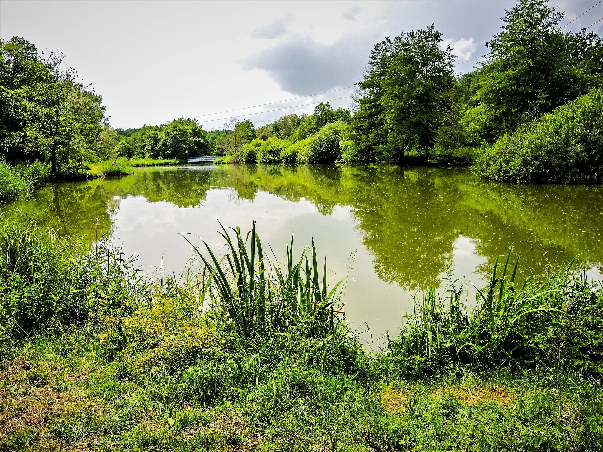 Photo showing: Le grand étang des princes, vu de la rive est. Raynans. Doubs