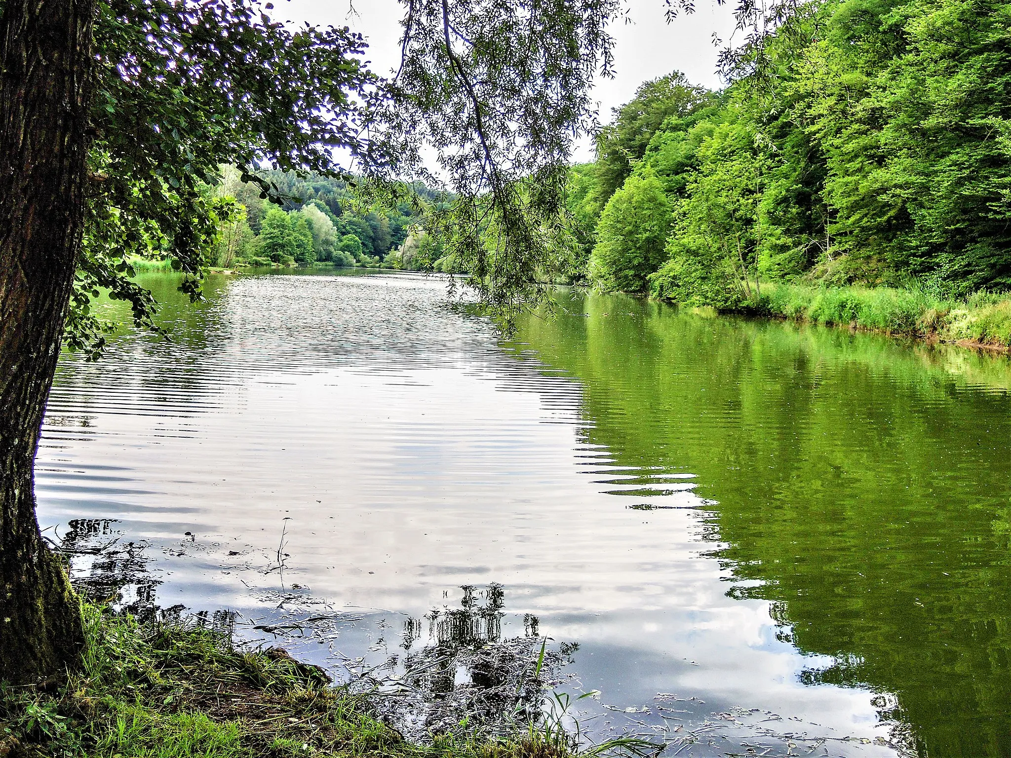 Photo showing: Le grand étang des princes, vu de la rive est. Raynans. Doubs