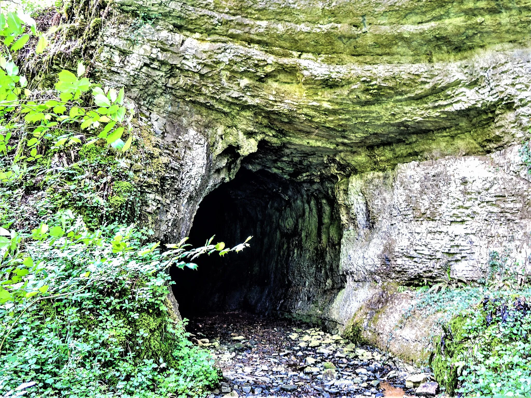 Photo showing: Ruisseau de la Beune, sortant de la grotte où il nait.
