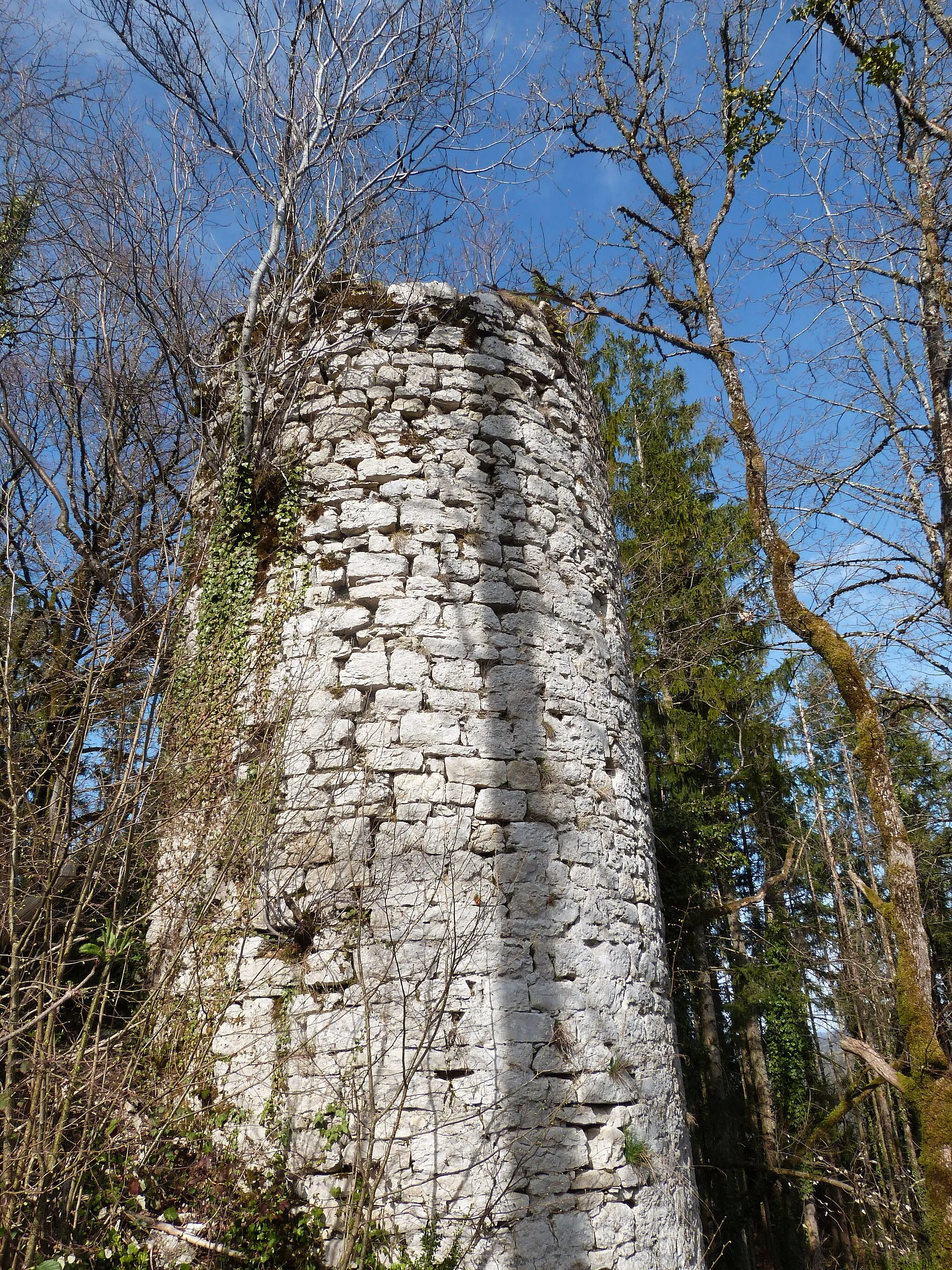 Photo showing: Vue des ruines du Château de Montdidier