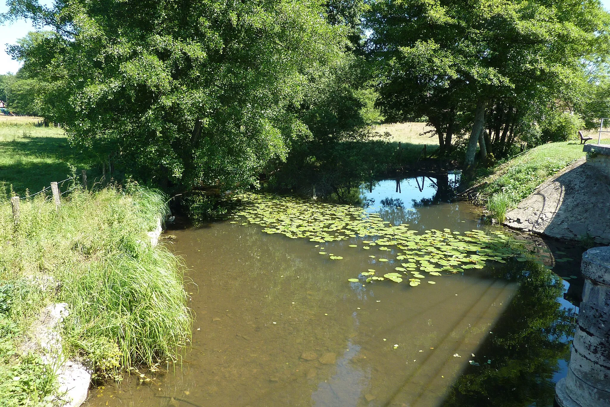 Photo showing: La Clauge à La Vieille Loye, au confluent avec La Tanche, étiage d'été