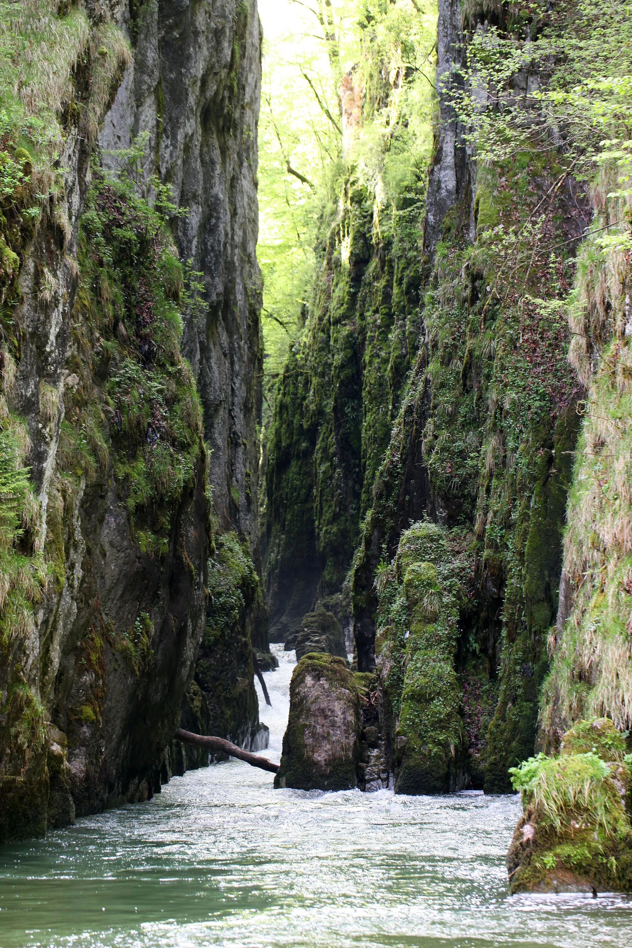 Photo showing: La Saine coule au fond de l'étroit canyon des gorges de la Langouette.