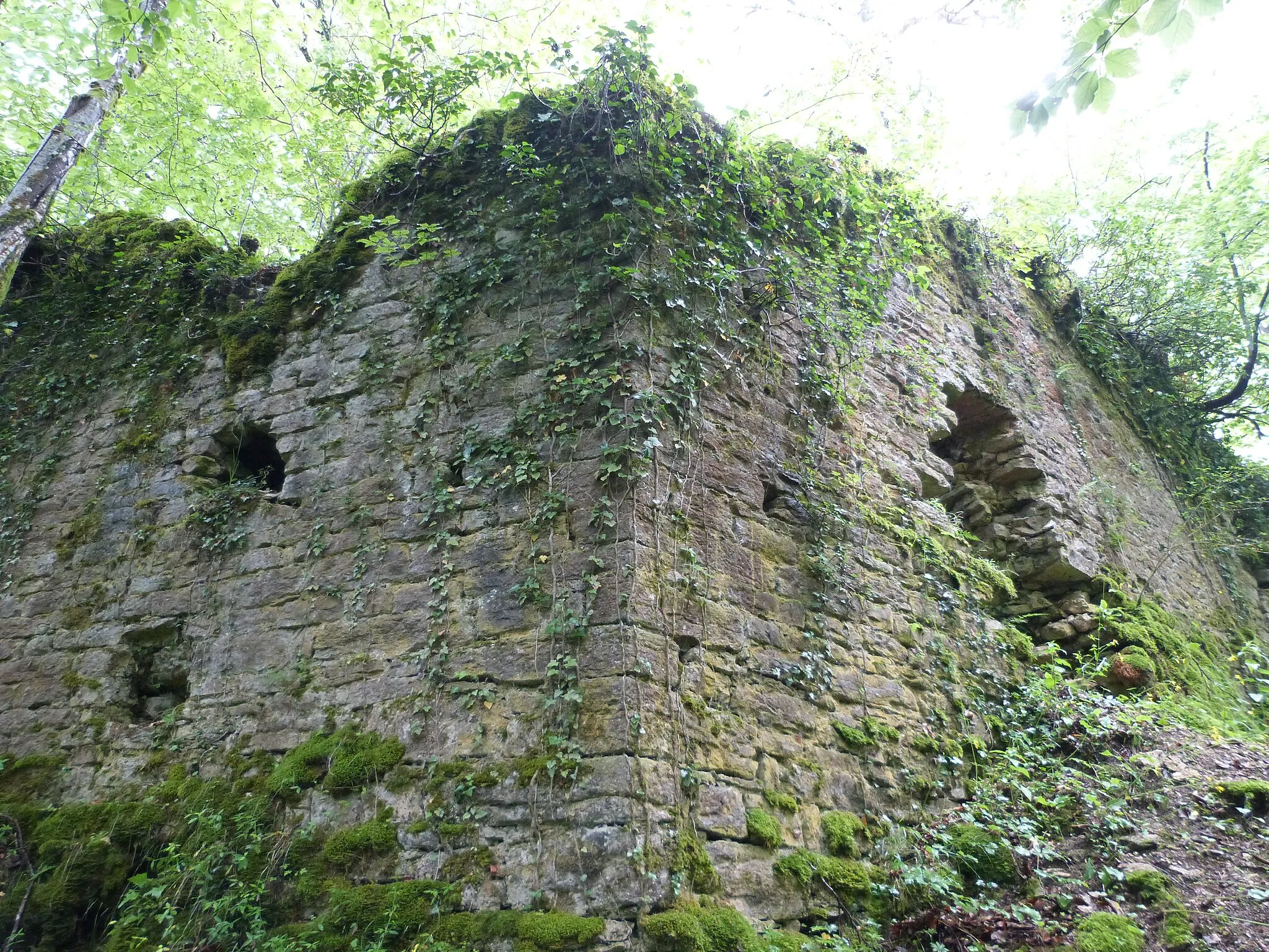 Photo showing: Ruines du Château de Beauregard
