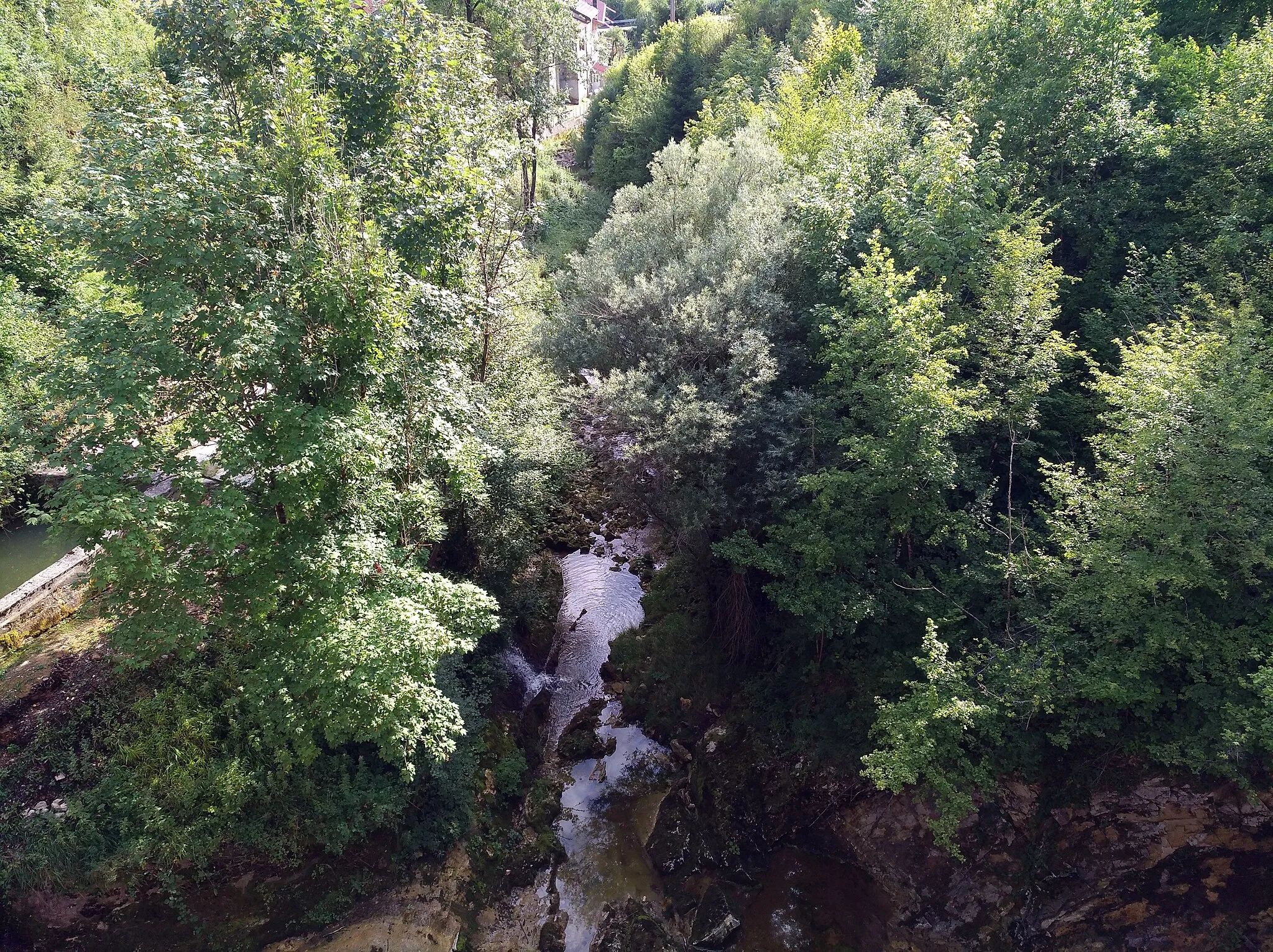 Photo showing: Le Lizon juste après le barrage de Ravilloles (Jura, France).