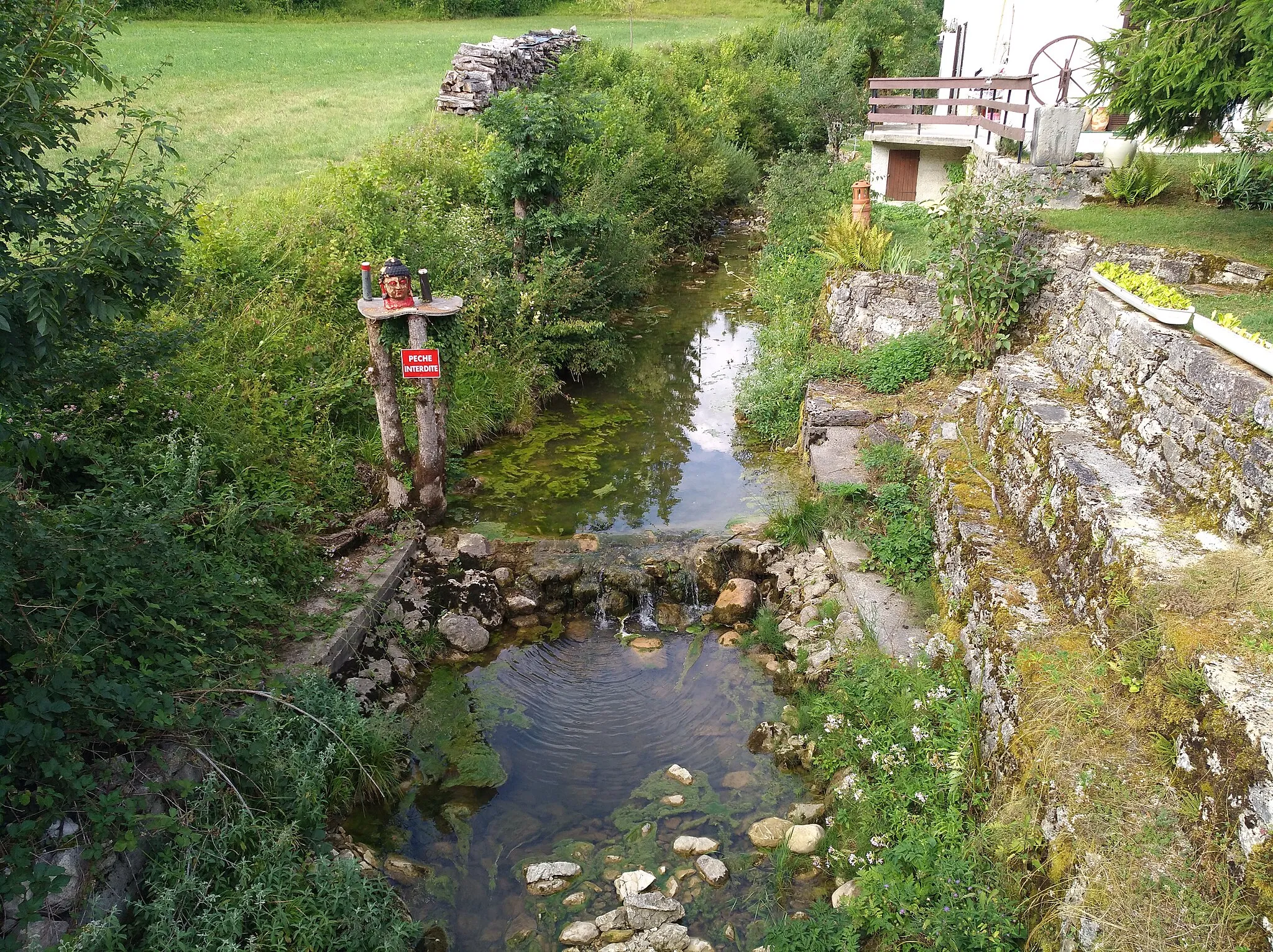 Photo showing: Le Lizon à Ravilloles (Jura, France), quelques dizaines de mètres après le barrage, au niveau du moulin d'Amont.