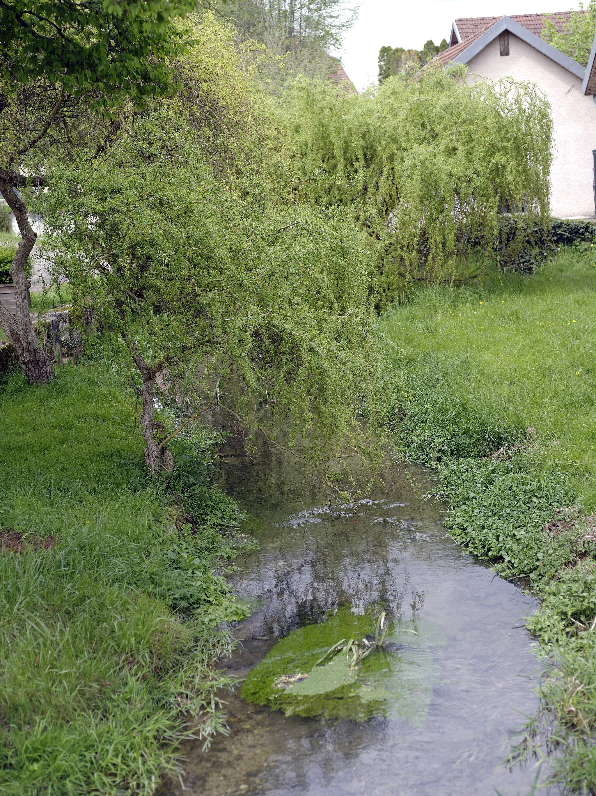 Photo showing: image montrant une photographie prise à Chambornay-lès-Pin dans le département de la Haute-Saône ː le ruisseau du village