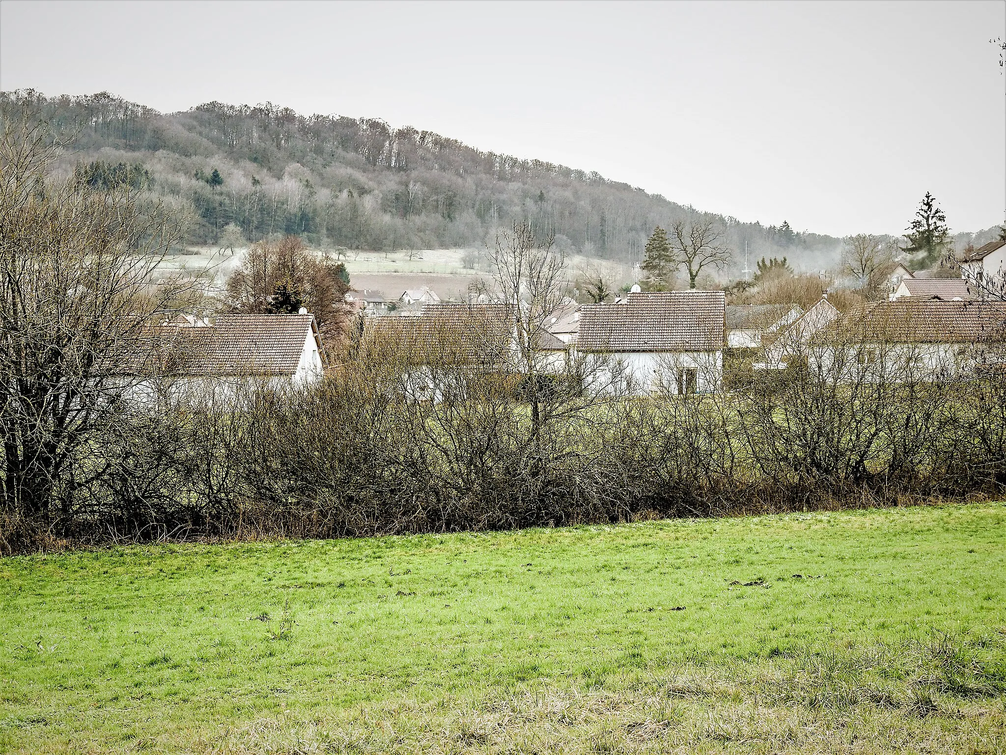 Photo showing: Village de Coisevaux, vu des prairies côté nord. Haute-Saône.