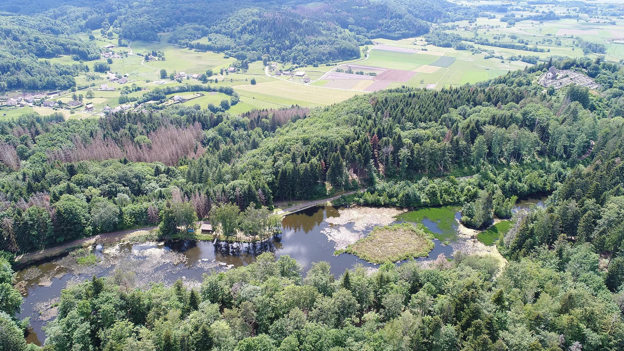 Photo showing: Étang Saint-Martin de Faucogney-et-la-Mer.