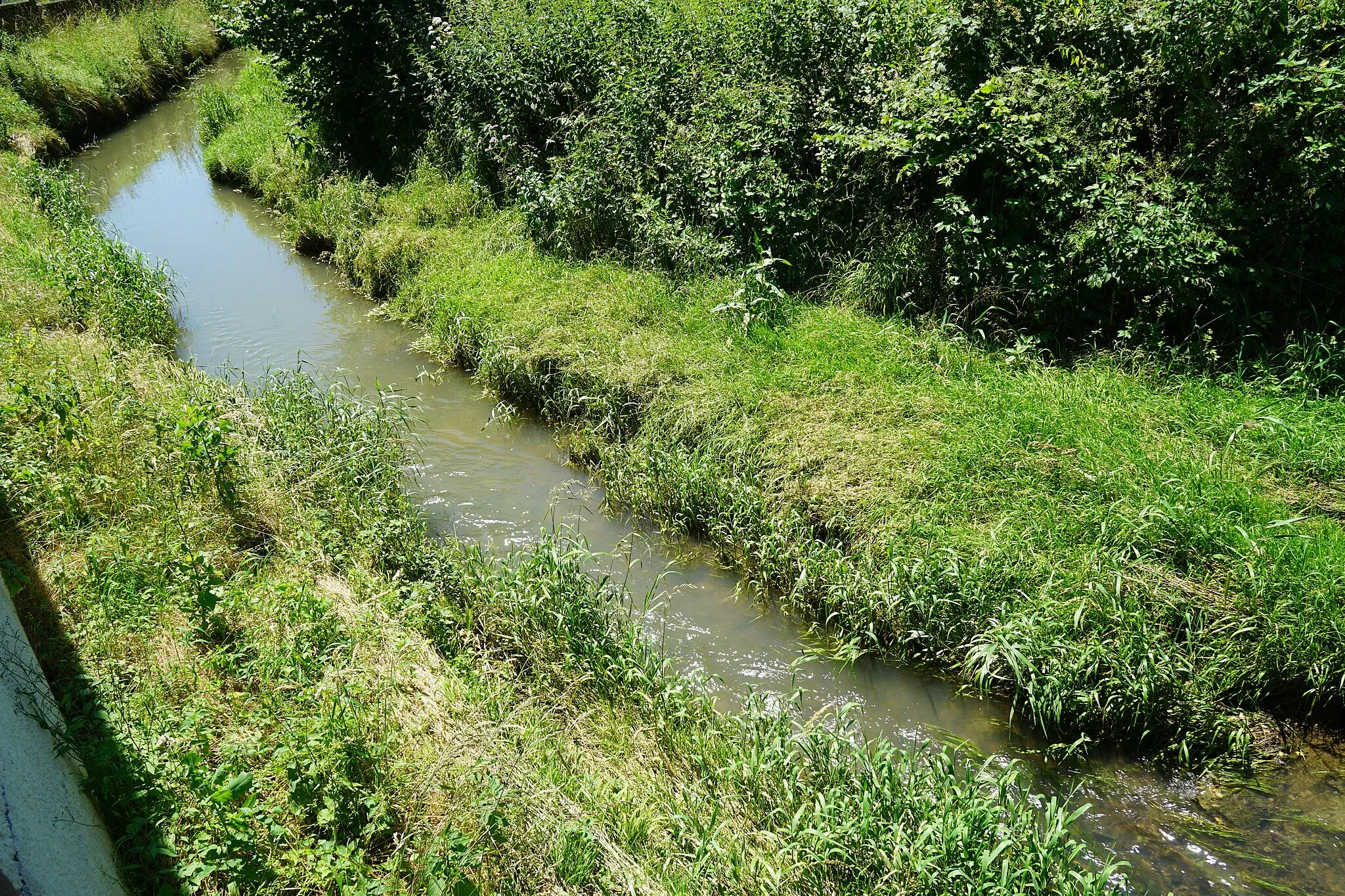 Photo showing: Un ruisseau affluant du Durgeon à La Villeneuve-Bellenoye-et-la-Maize.