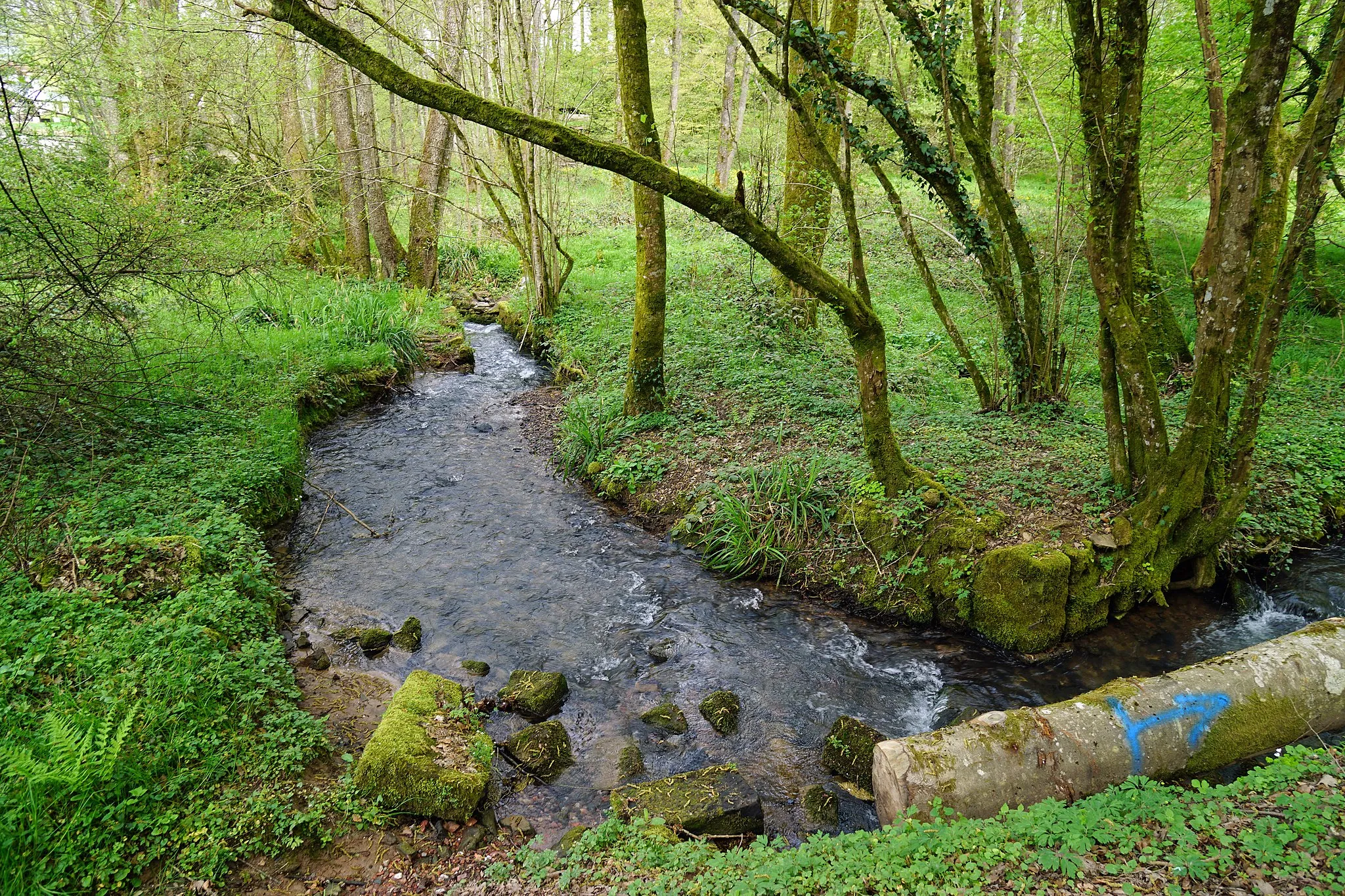 Photo showing: Ruisseau à Magny-Jobert.