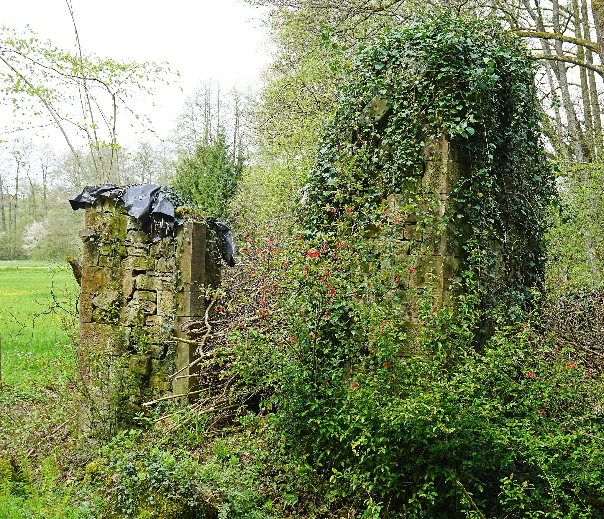 Photo showing: Les ruines de la chapelle des Cornettes à Magny-Jobert.