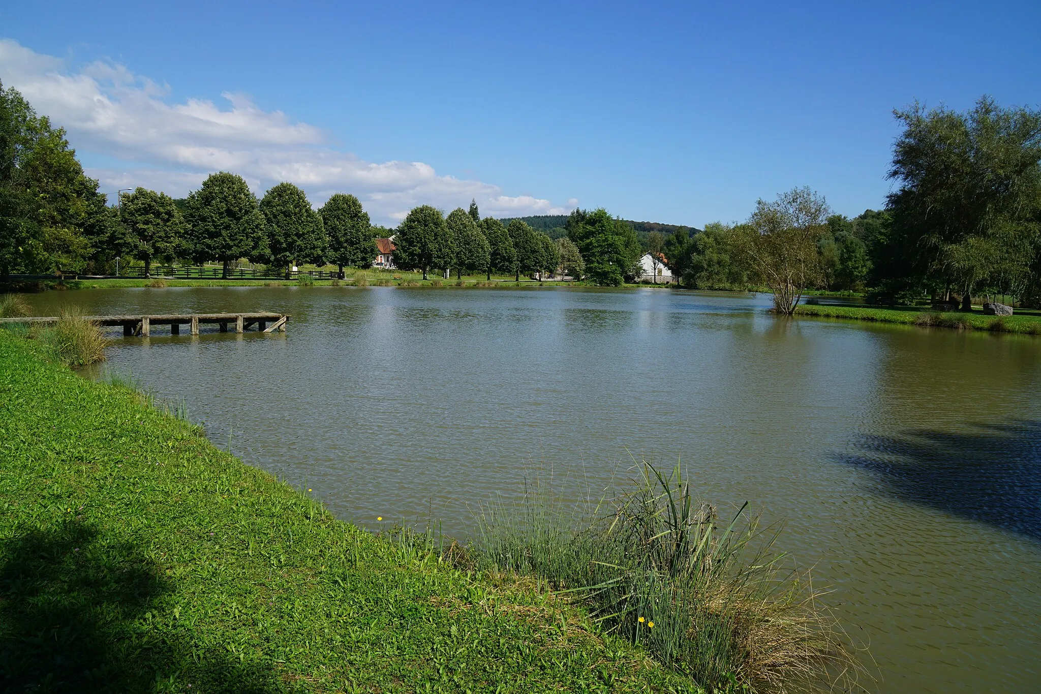 Photo showing: L'étang de Mignavillers.