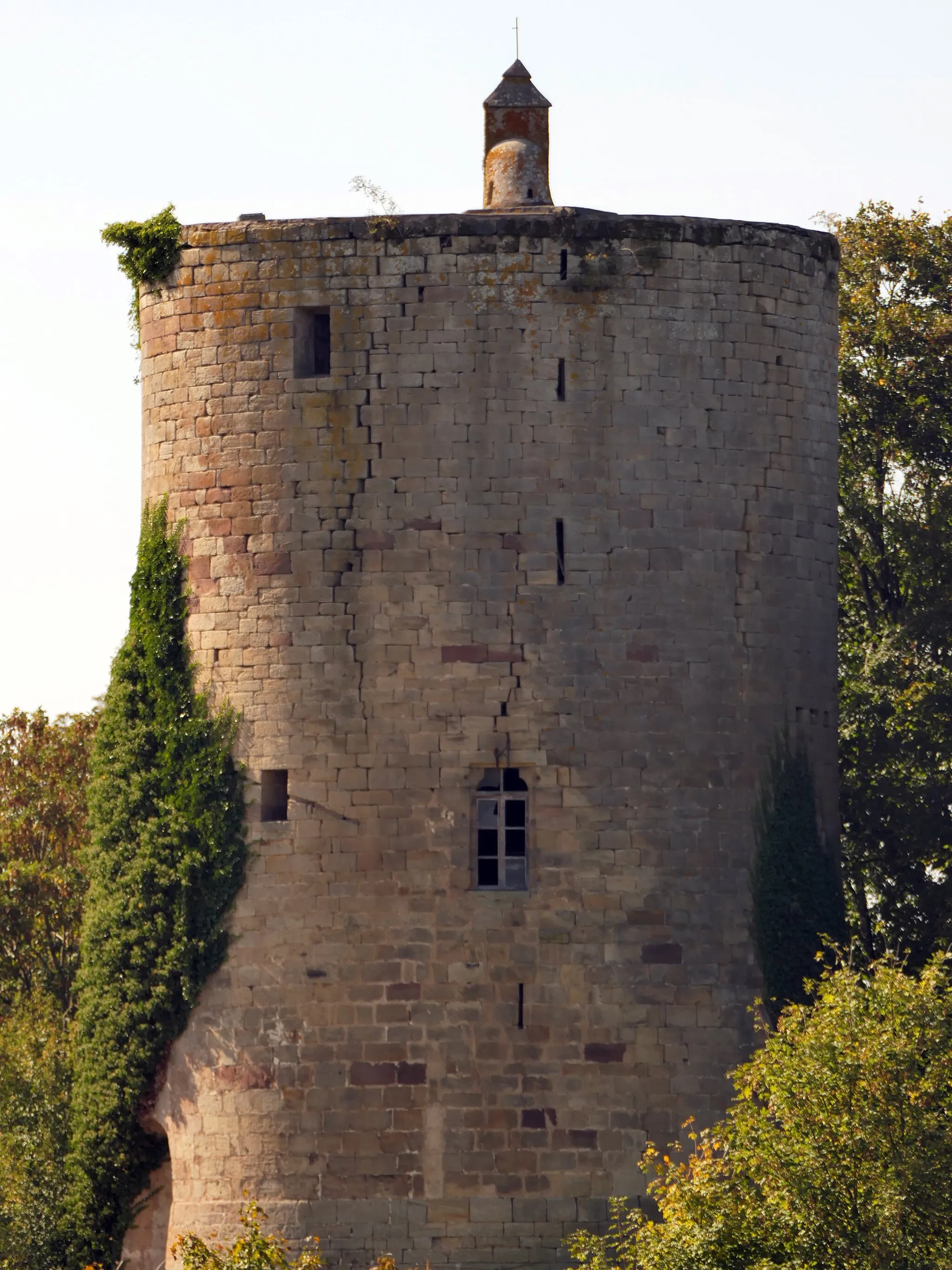 Photo showing: image montrant une photographie prise sur le territoire de la commune de Passavant-la-Rochère dans le département de la Haute-Saône : la tour