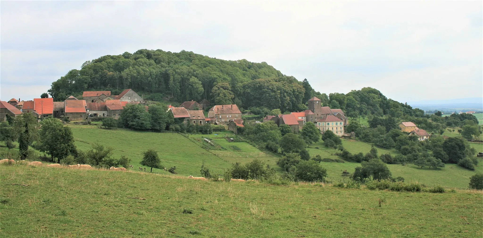 Photo showing: Montjustin et Velotte ( Haute-Saône) vue générale du site et du village
