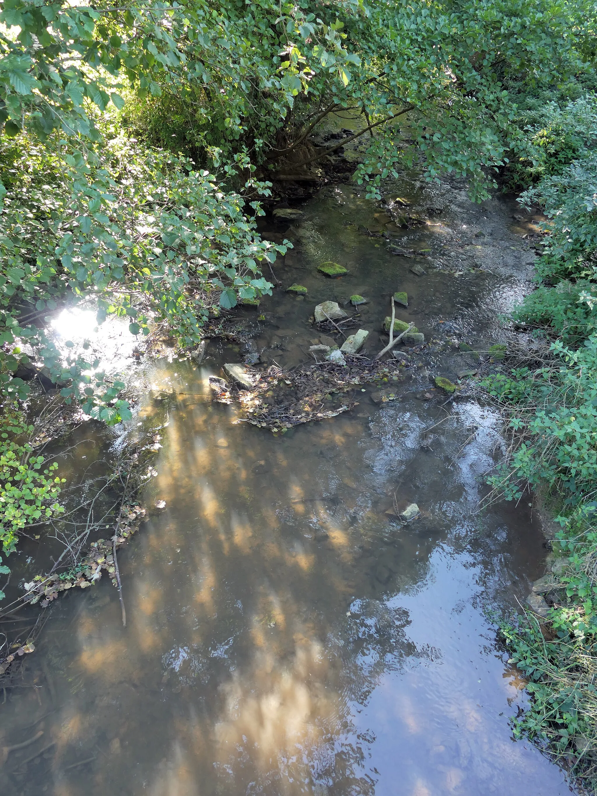 Photo showing: image montrant une photographie prise à Sorans-lès-Breurey dans le département de la Haute-Saône ː la Buthiers