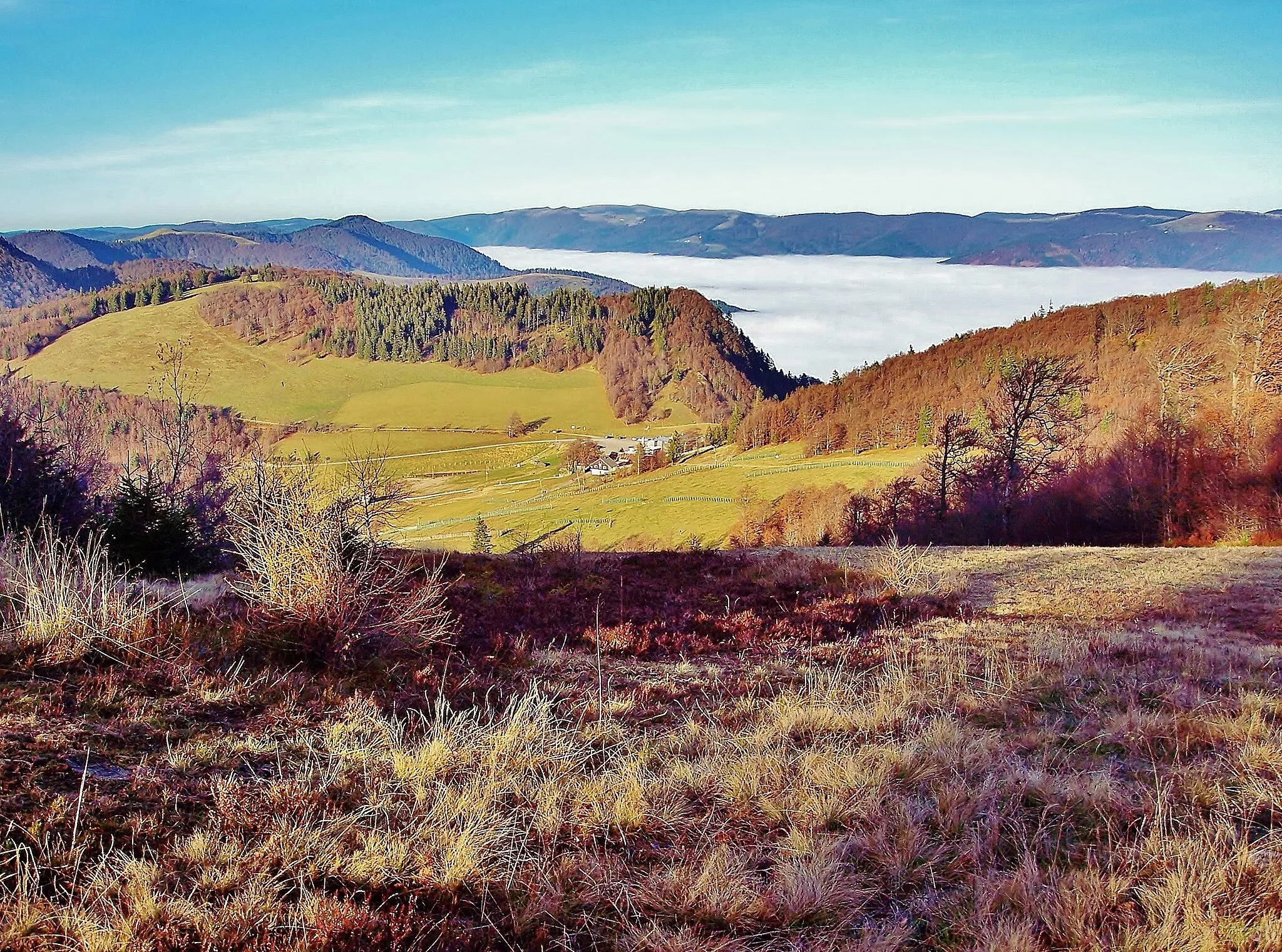 Photo showing: Le Rouge Gazon, vu de la Haute Bers. Saint-Maurice-sur-Moselle. Vosges