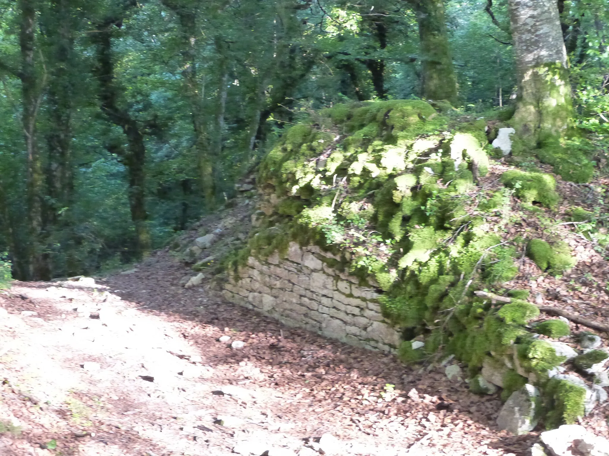 Photo showing: Ruines du Château de Binans