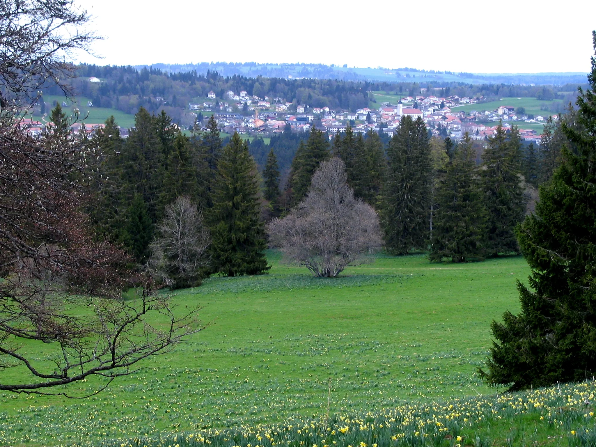 Photo showing: Les Breuleux seen from South