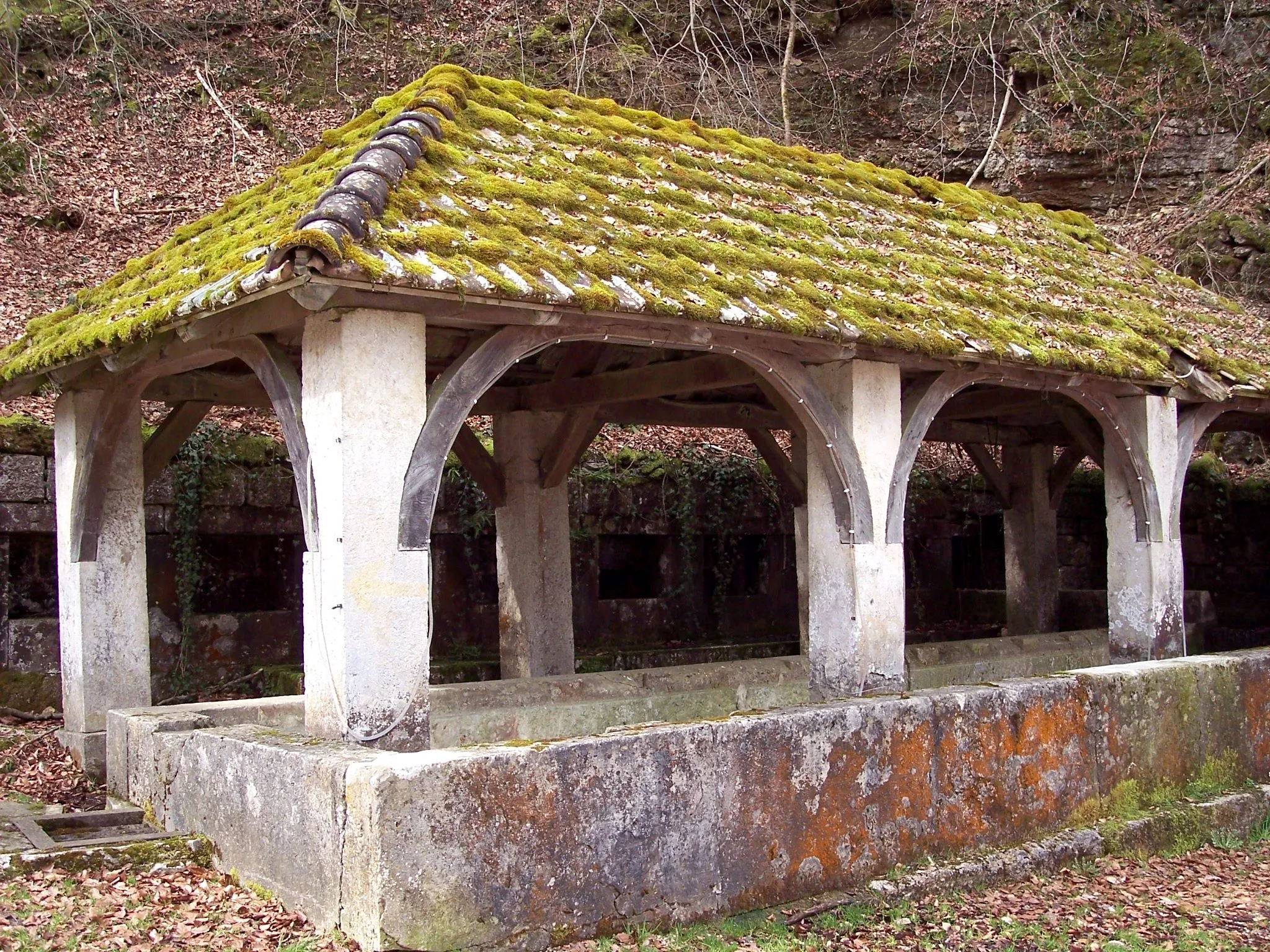 Photo showing: Fontaine-lavoir couverte à Saint-Dizier-l'Evêque. Territoire de Belfort