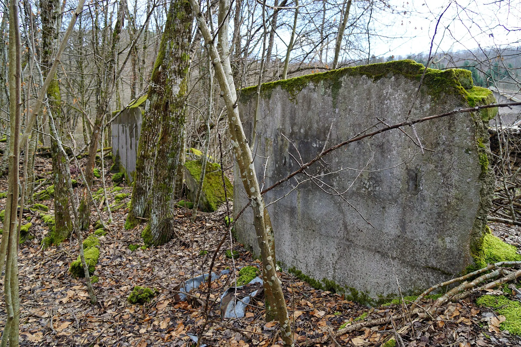 Photo showing: Les ruines du puits du Magny.