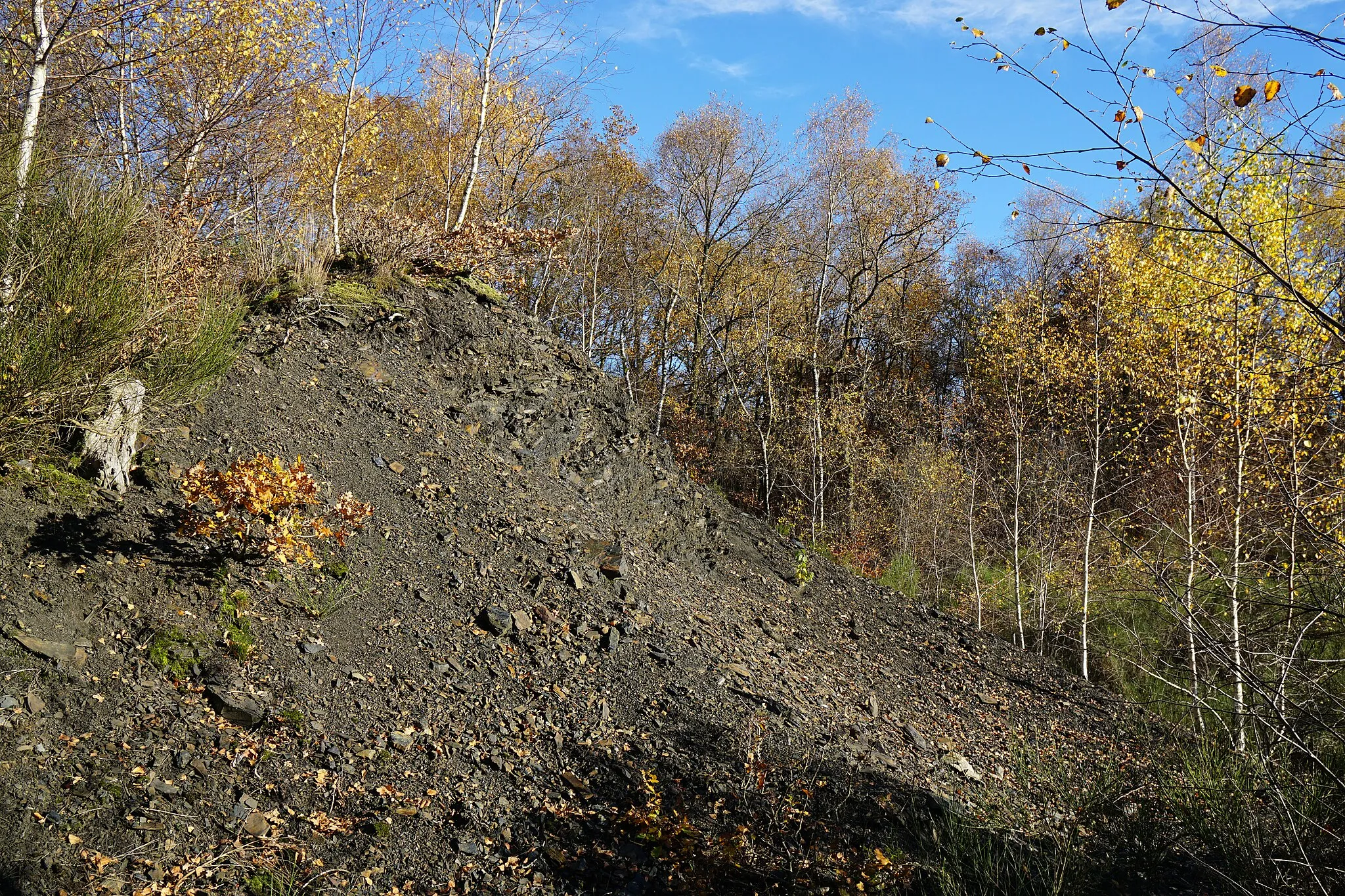 Photo showing: Le terril du puits Sainte-Pauline à Champagney (70).