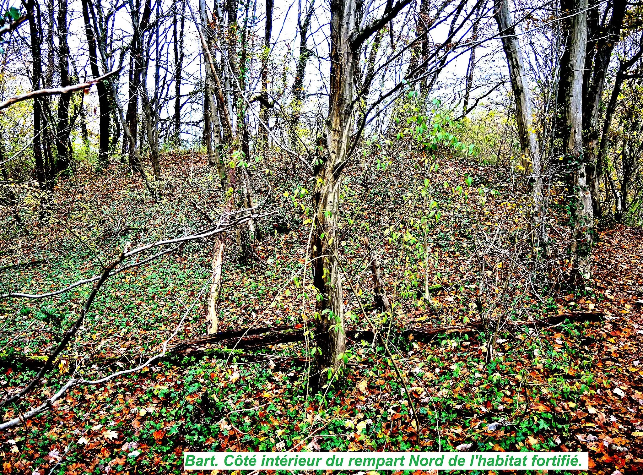 Photo showing: Habitat fortifié de Bart